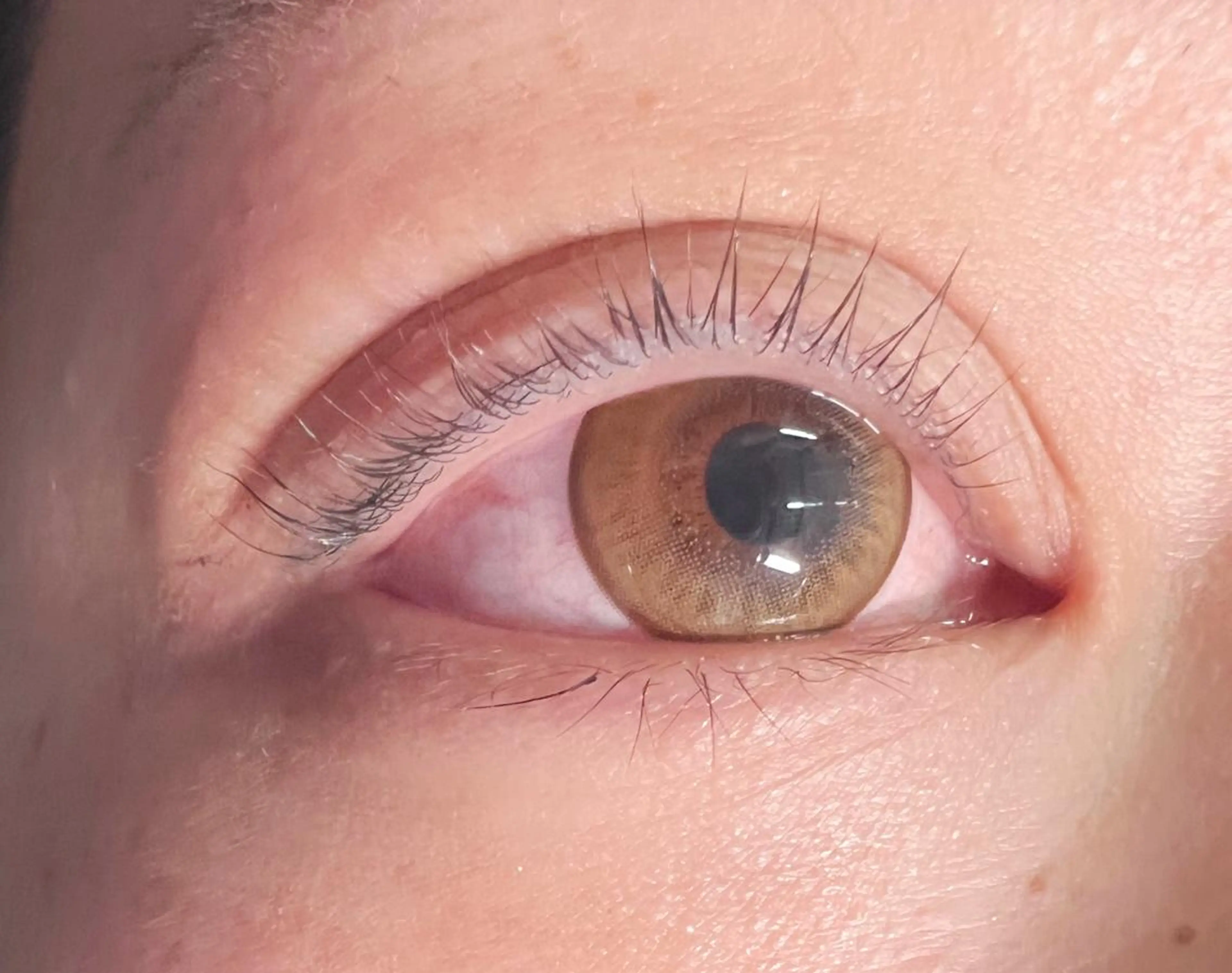 マツエク・マツパ パリジェンヌラッシュリフト 💎マツエク特化 さりな💎のマツエク・マツパデザイン