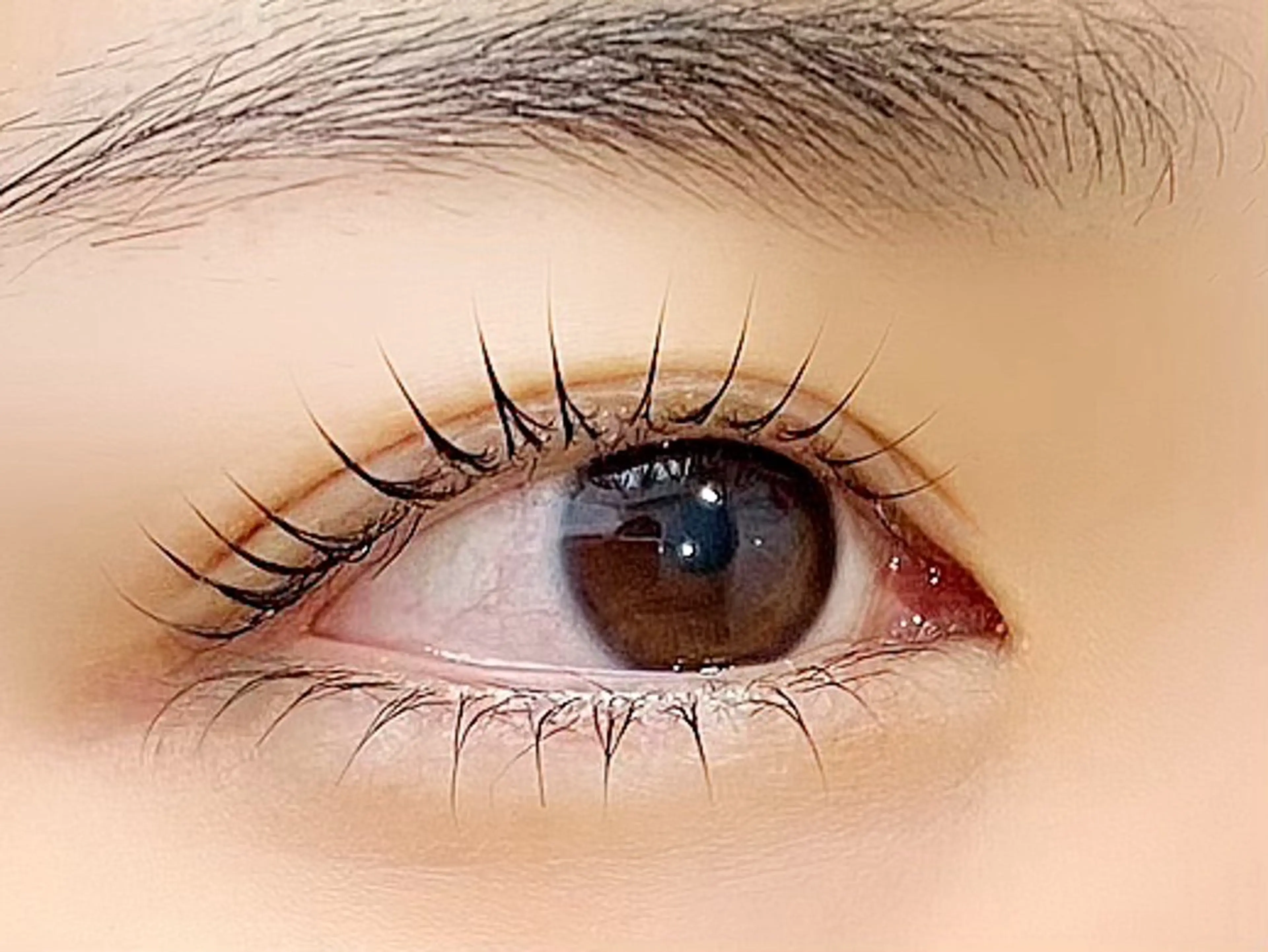 新規様限定🩵【上下まつ毛パーマ】※下記注意事項を必ず確認ください！の写真