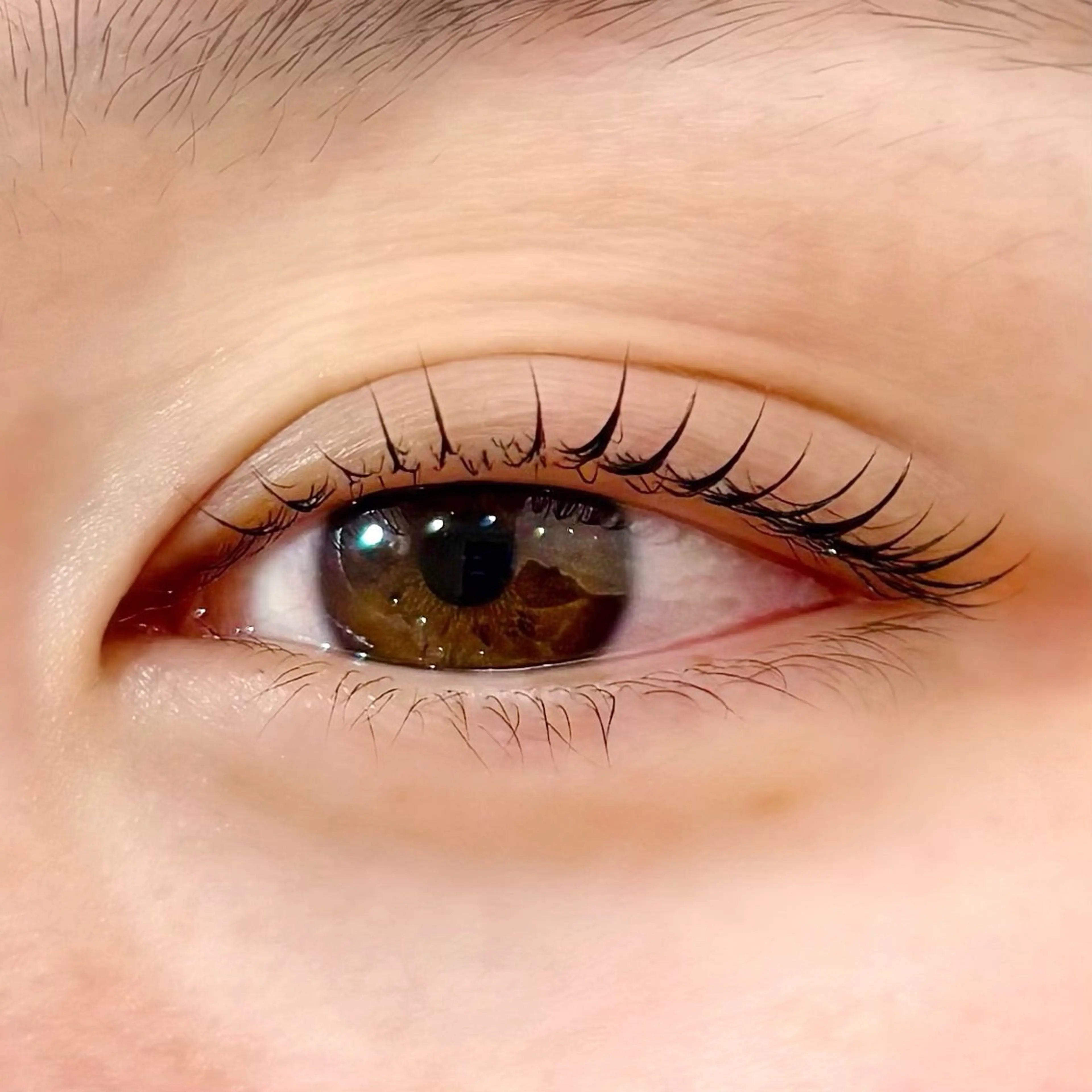 マツエク・マツパ ケラチンラッシュリフト Shelly Garden所属・kana🎀まつぱ/ ハーブピーリングの眉毛・アイブロウイメージ