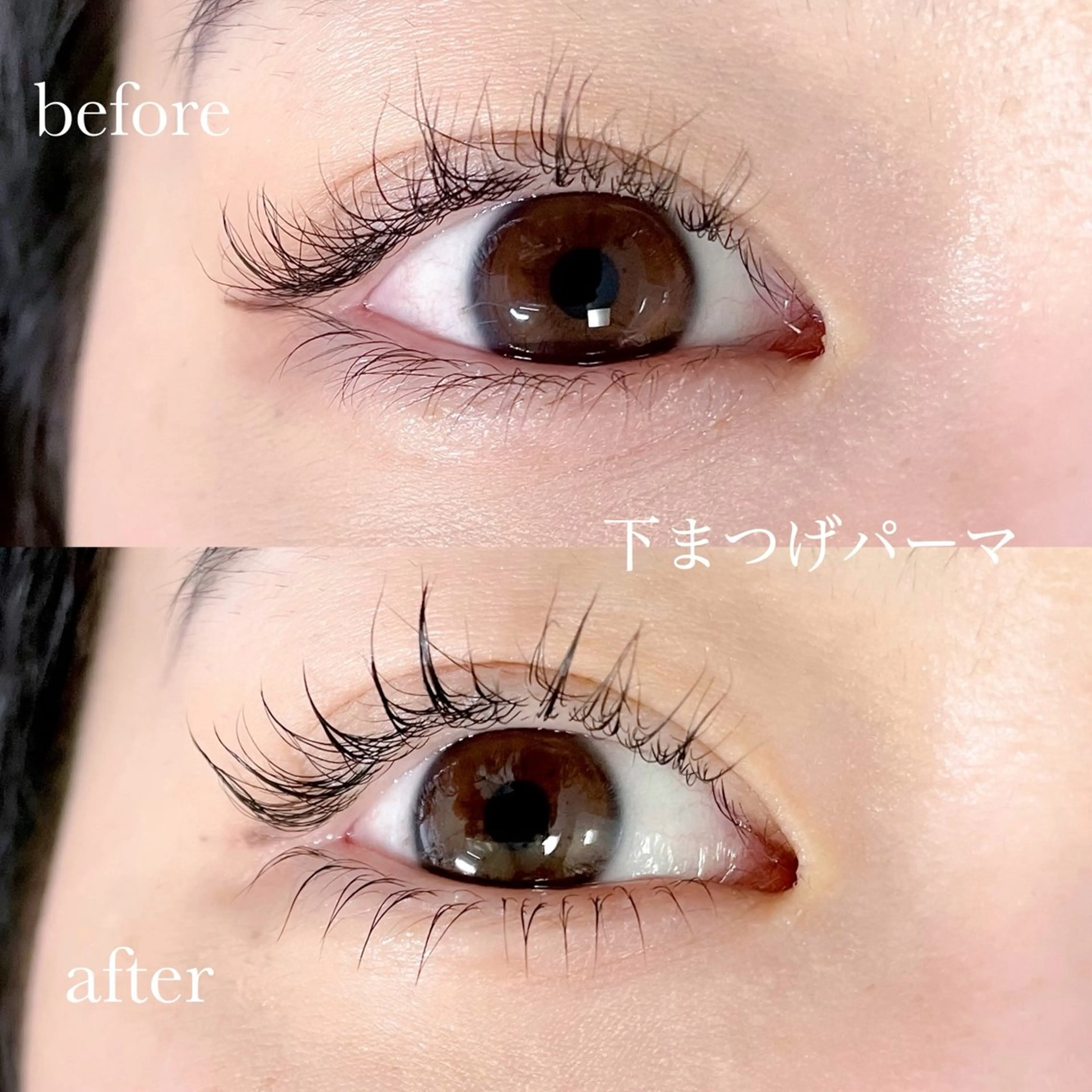 マツエク・マツパ まつげパーマ 下まつげエクステ マツパ eyelist🌼 asukaのマツエク・マツパデザイン