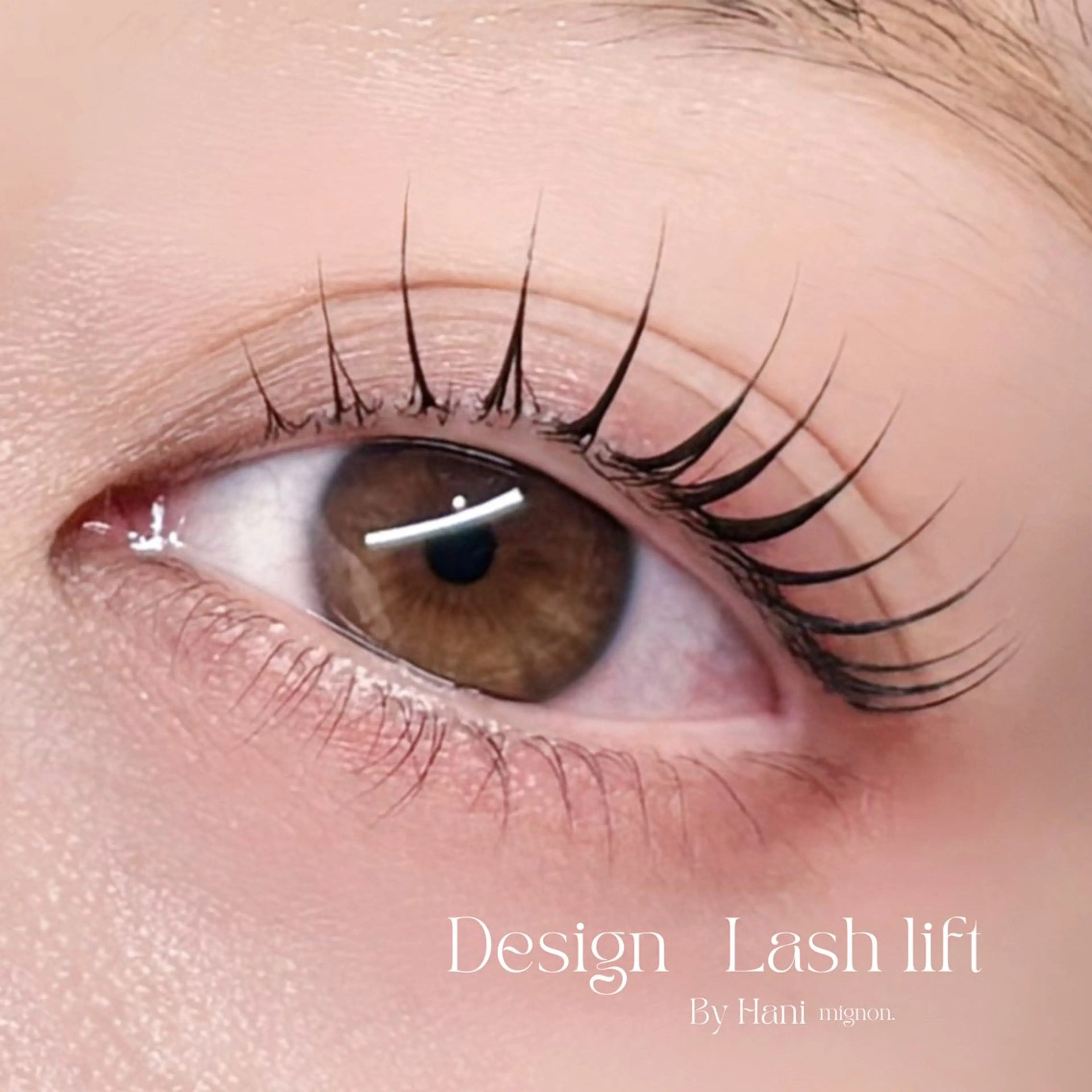 【人気No.1✨】大人可愛いまつげパーマ🌿　（高濃度トリートメント/コーティング込）［現金のみ］の写真