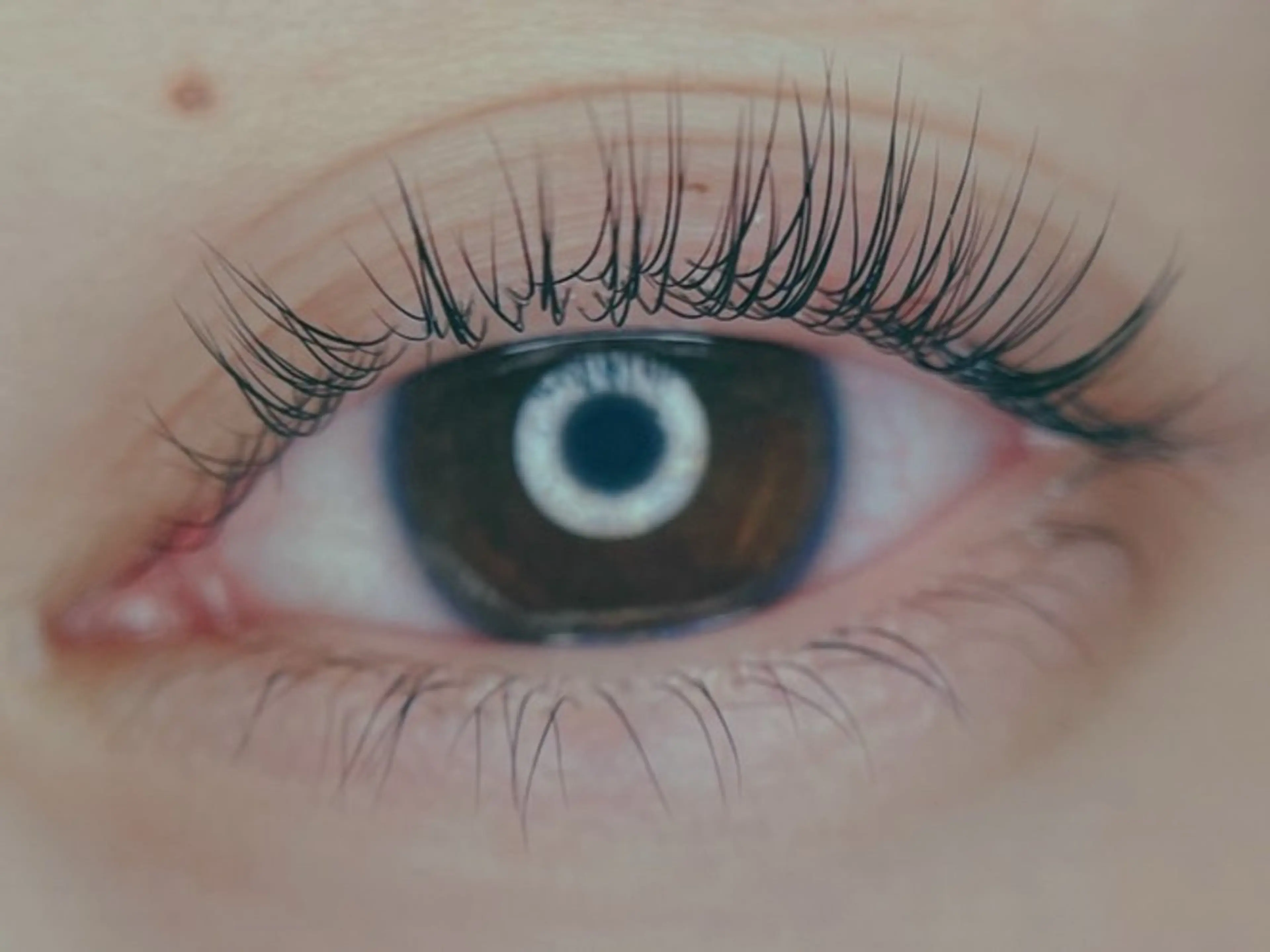 マツエク・マツパ マツパ リアン Lienのマツエク・マツパデザイン