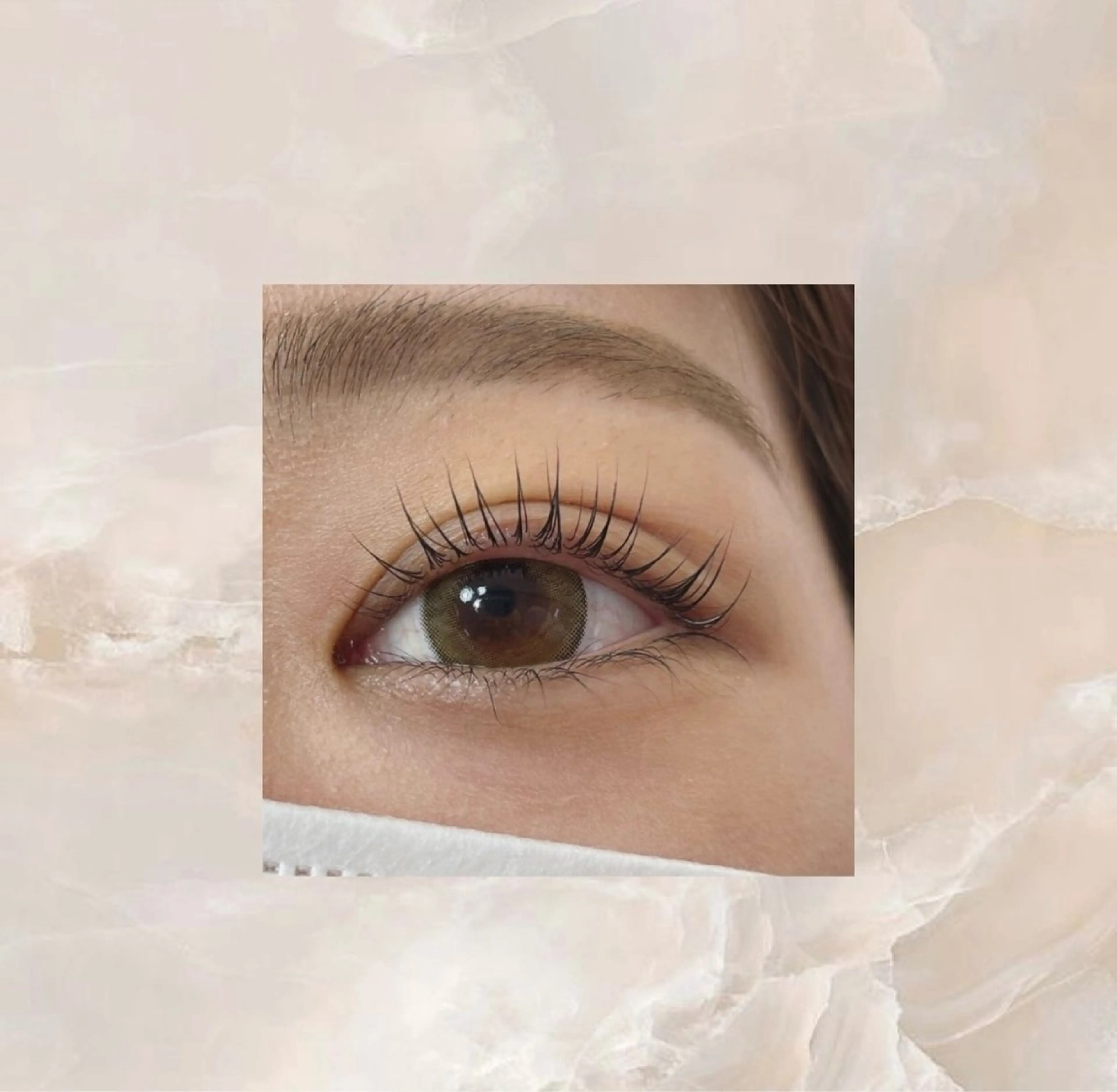 【オフなし】パリジェンヌ上＋ハリウッドアイブロウリフト🩷リクエストされてからご予約くださいの写真