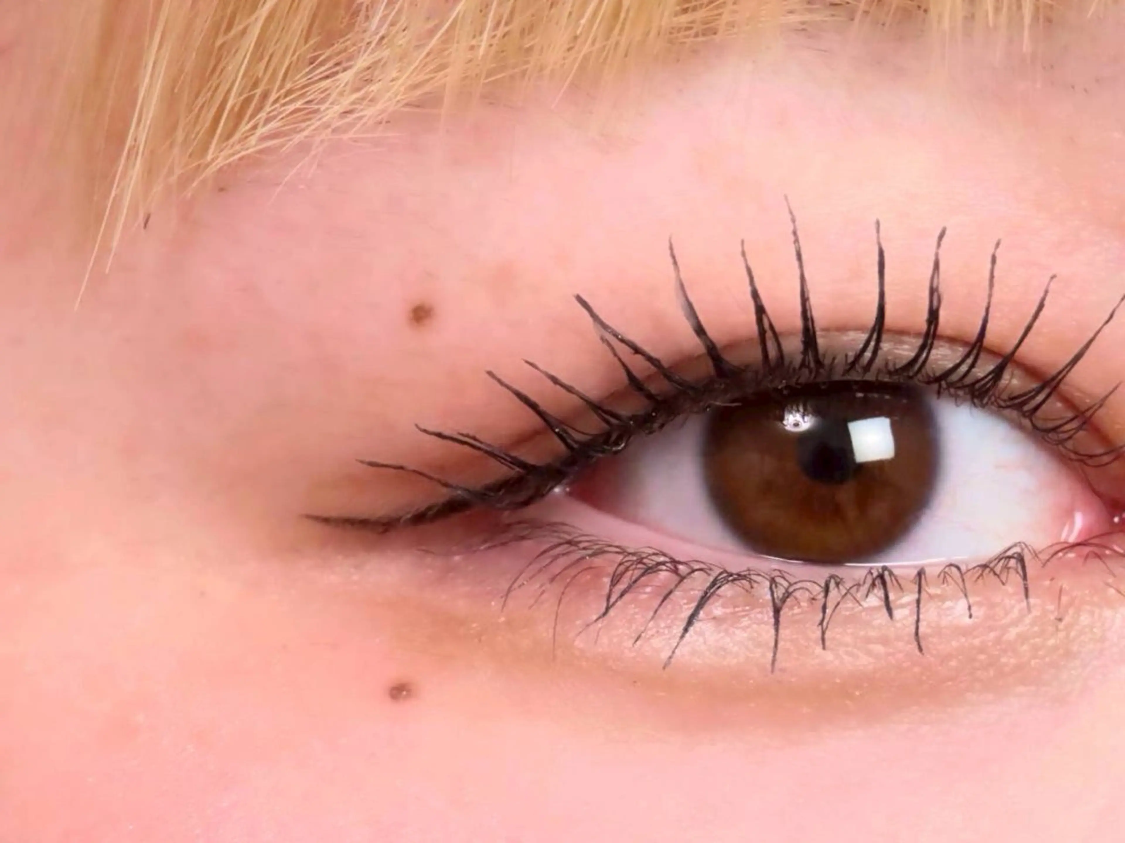 札幌中心部・駅徒歩２分　デザインまつげパーマ5000→4300の写真