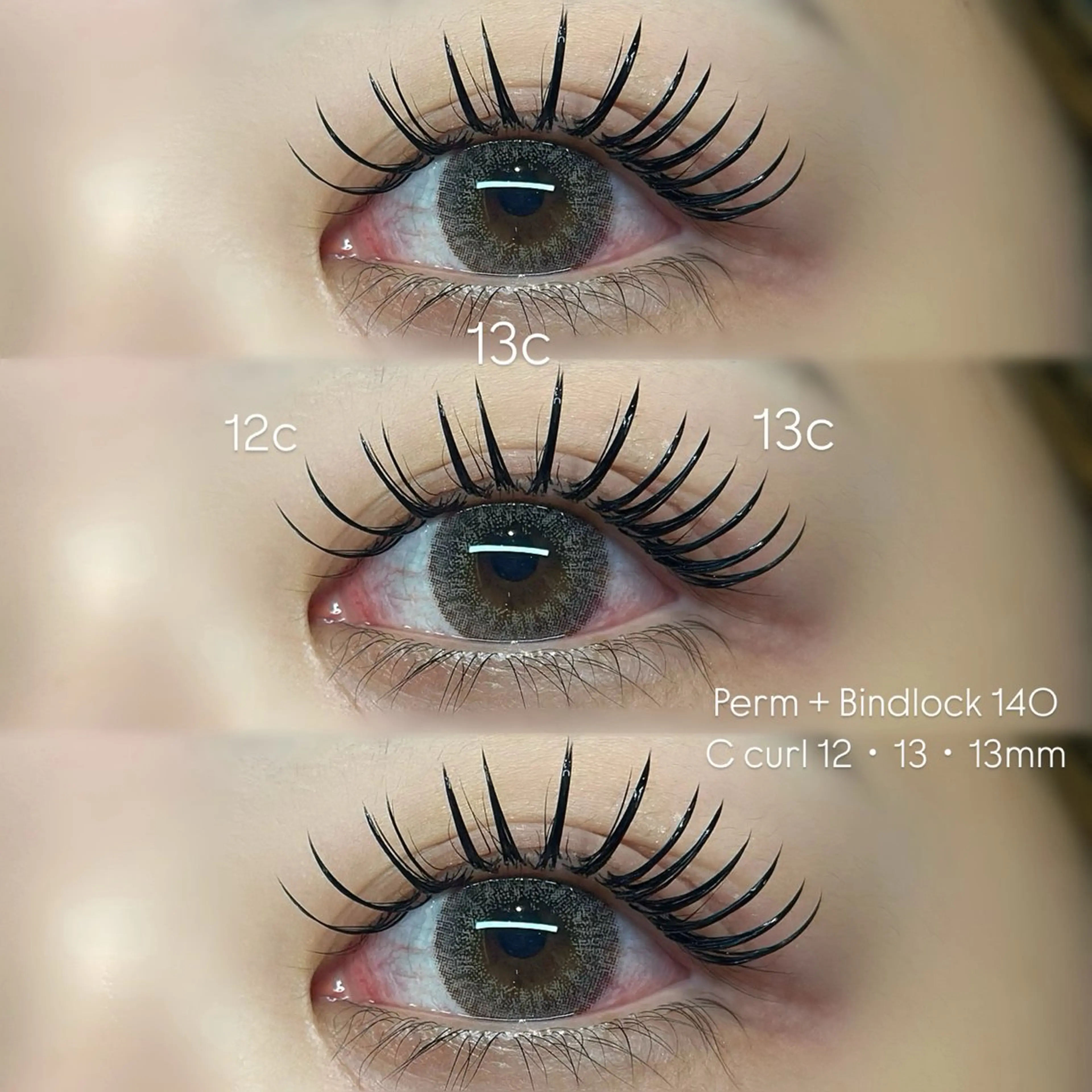 【バインドロック】140束（コーティング付）の写真