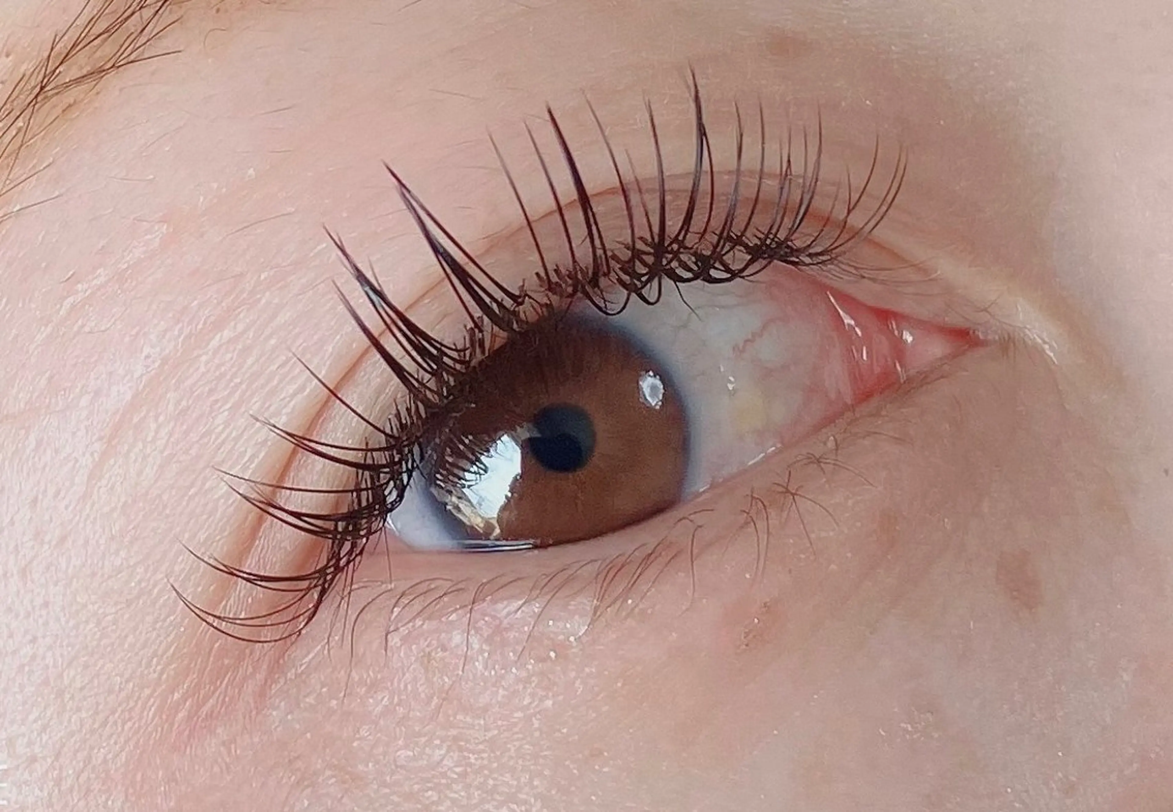 マツエク・マツパ 付け放題 フラットラッシュ Honey bee所属・Honeybee maayaのマツエク・マツパデザイン