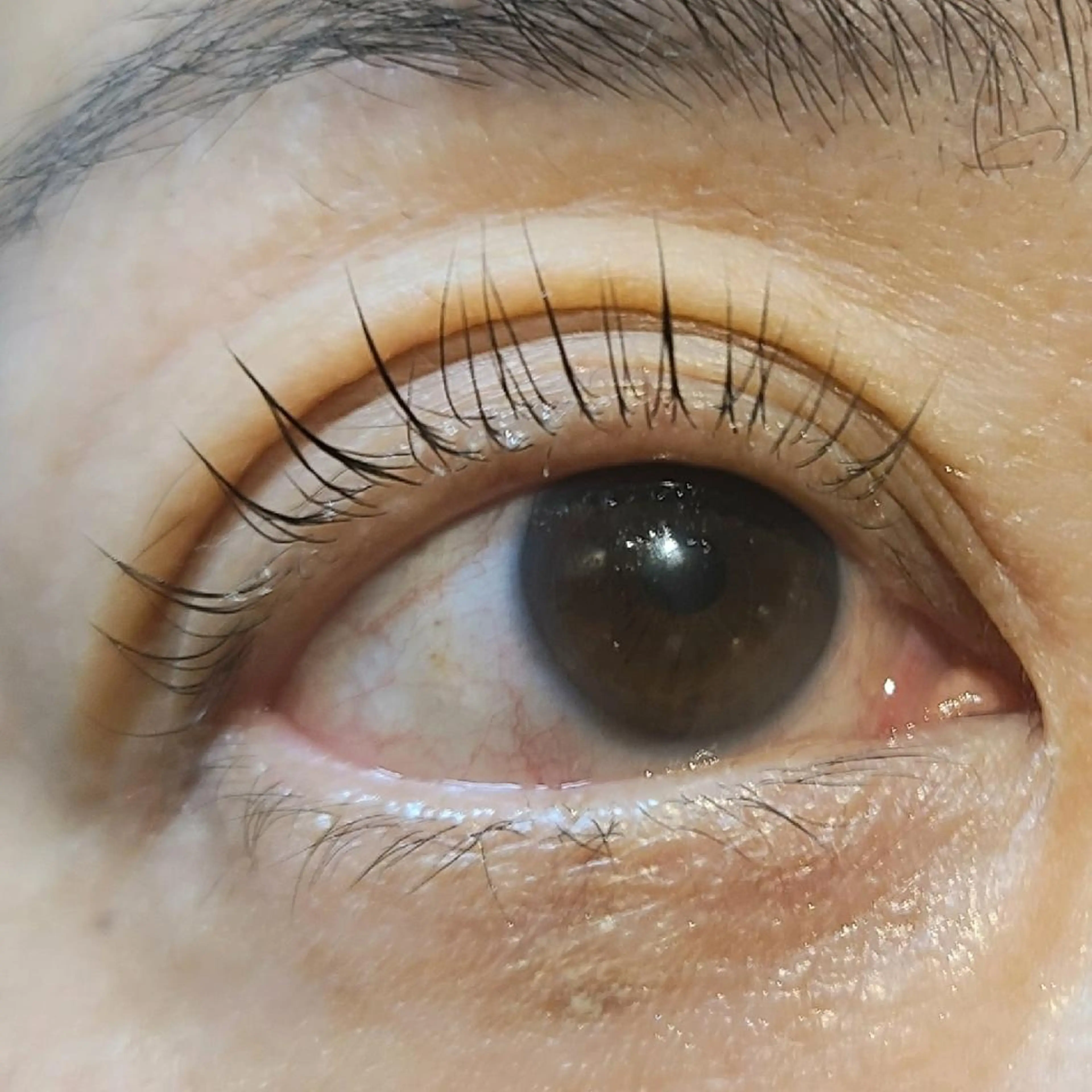 マツエク・マツパ パリジェンヌラッシュリフト LASH BAR  友久のマツエク・マツパデザイン