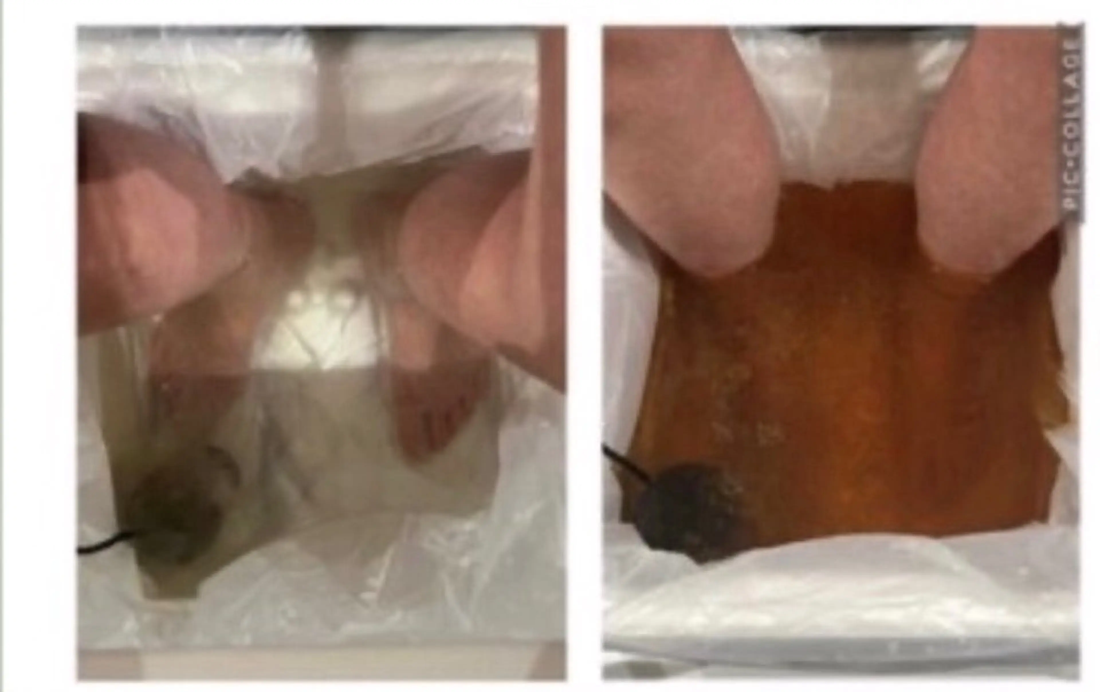 エステ メディカルエステ マドンナのエステ・リラクイメージ