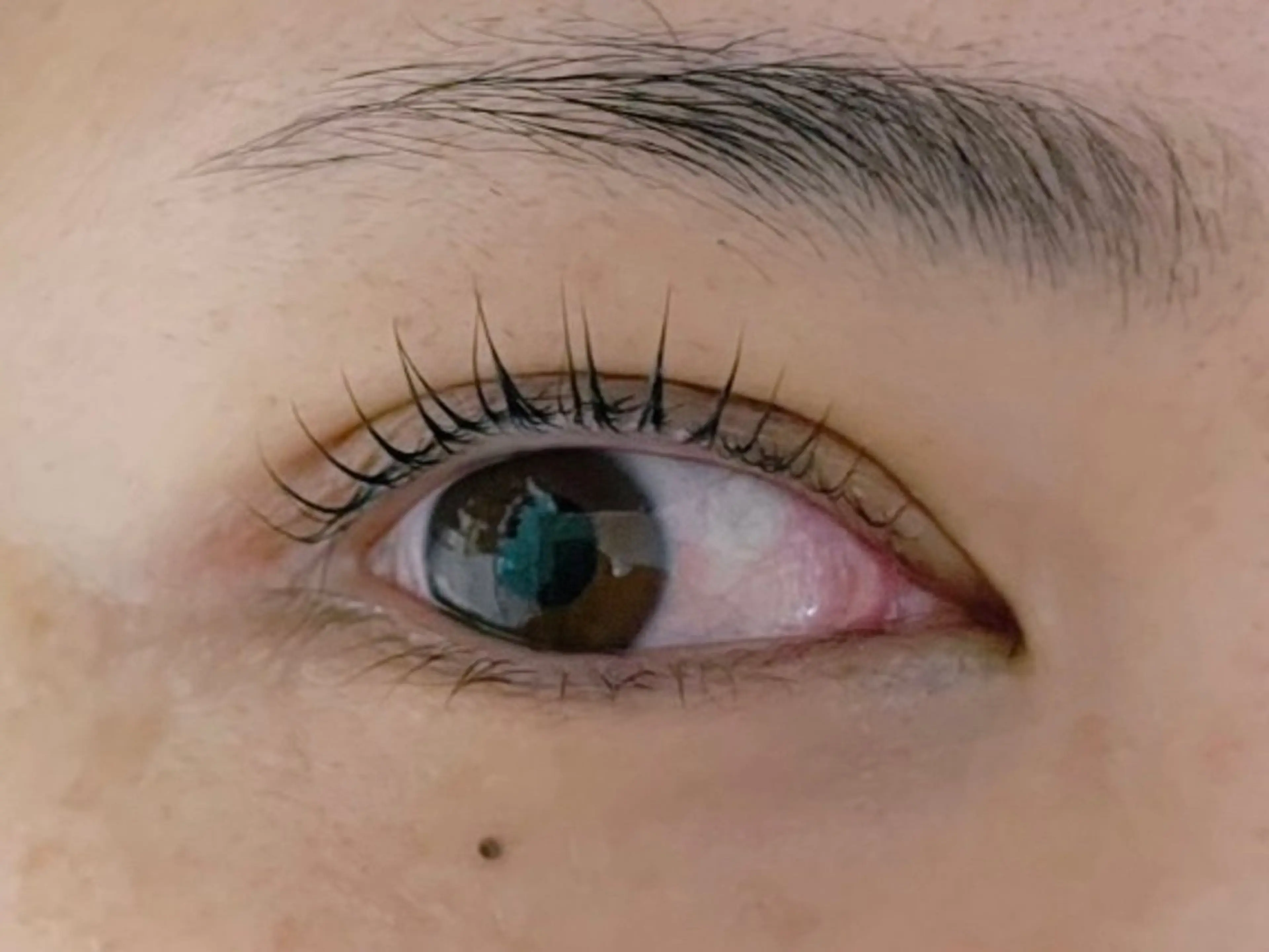 マツエク・マツパ 𝐞𝐢𝐠𝐡𝐭 MAO🖤の眉毛・アイブロウイメージ