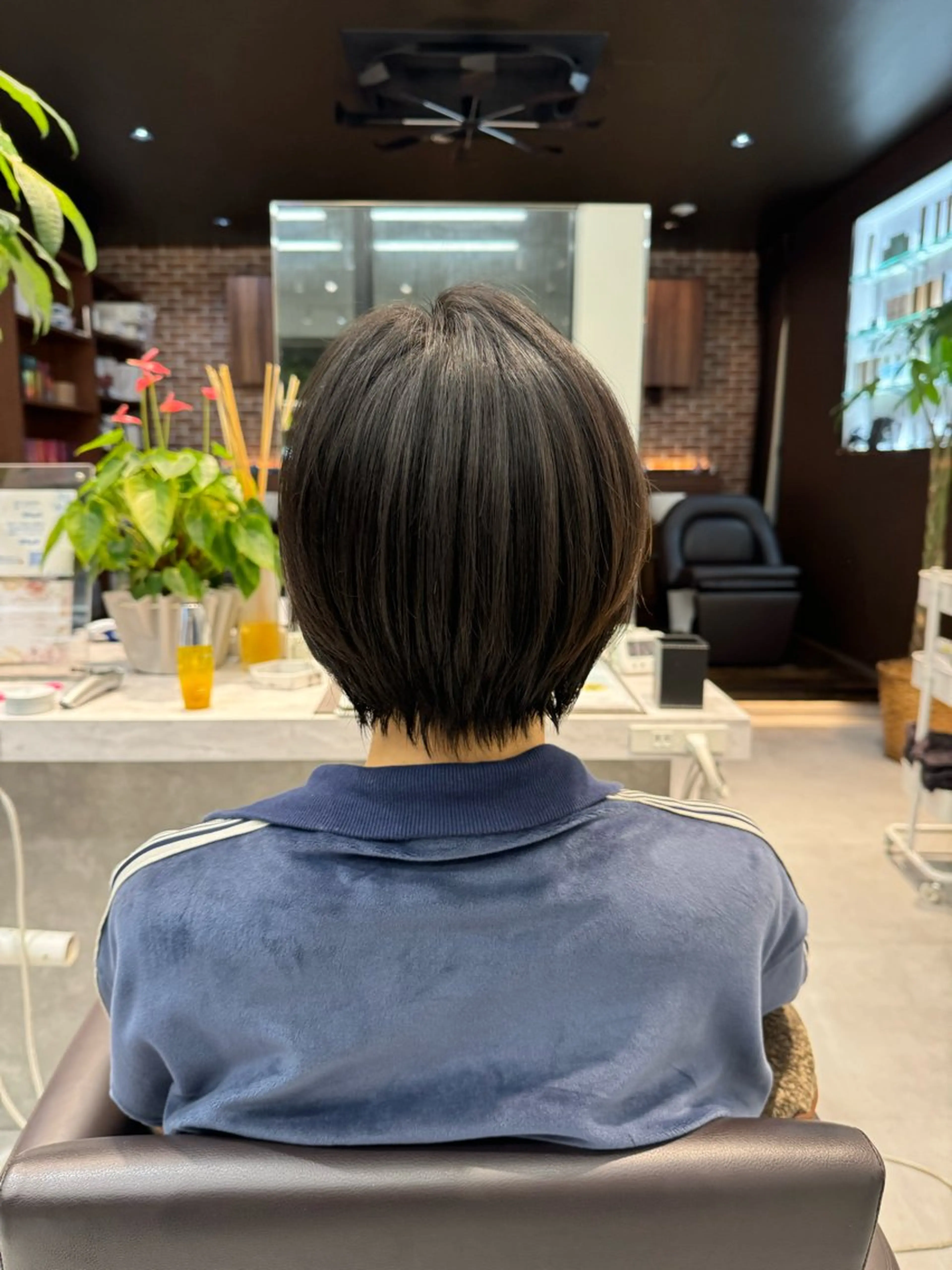 ショート 金子明日香✨ショート /ボブ/髪質改善✨のヘアスタイル