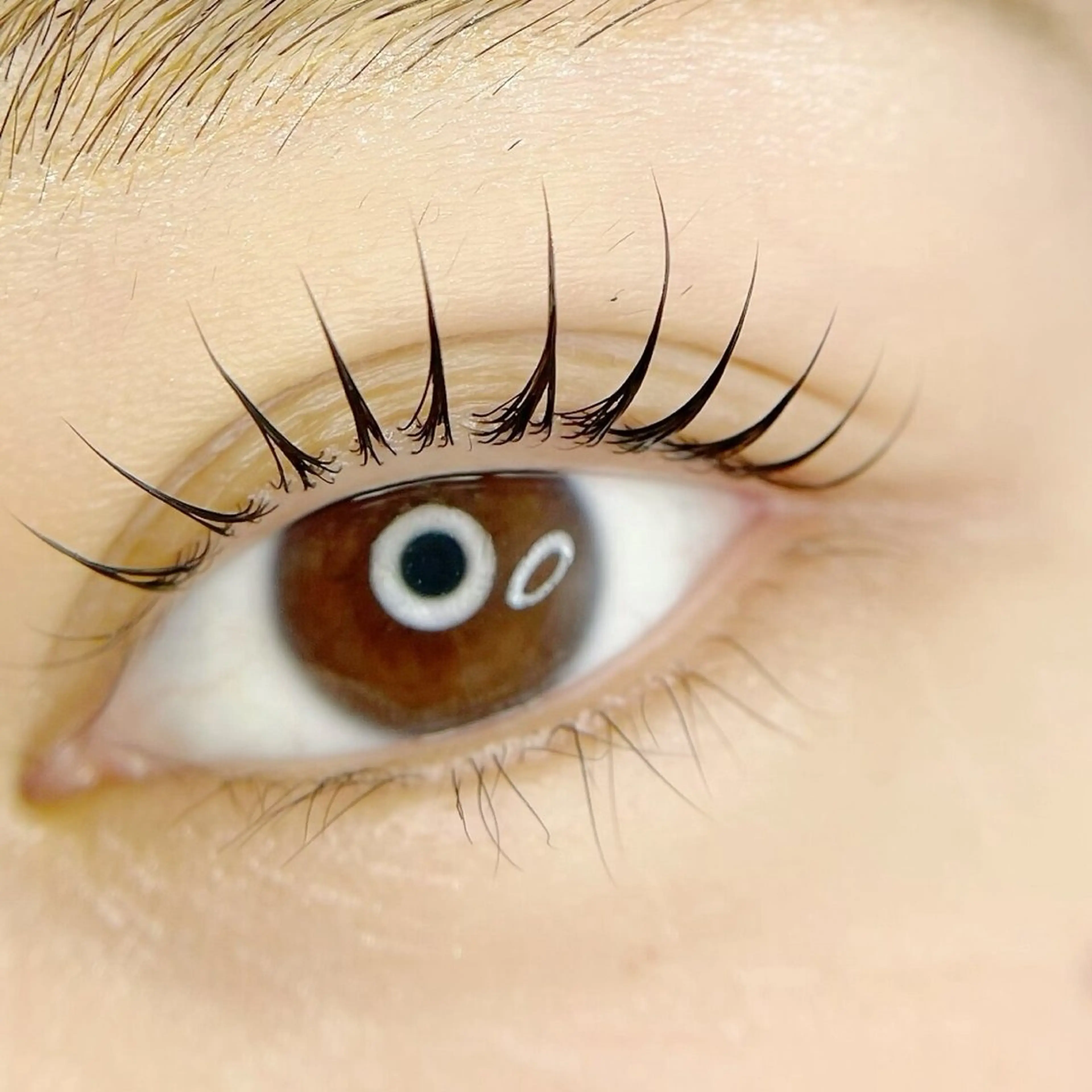 マツエク・マツパ 一重×まつ毛パーマ マツパ LE:AP 銀座のマツエク・マツパデザイン