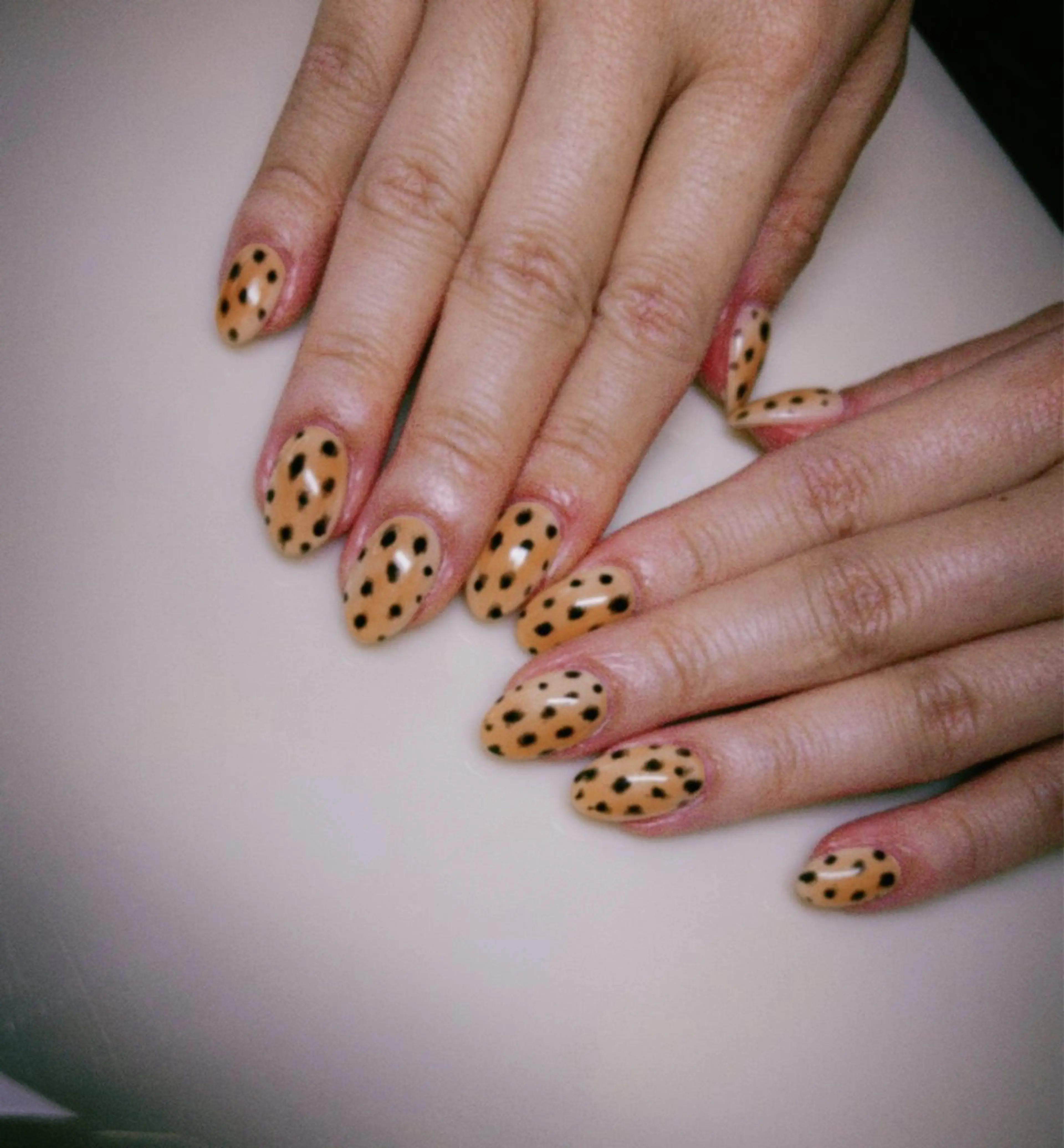 ネイル ネイルパレス所属・ネイルパレス【デザ イン/恵比寿】のネイルデザイン