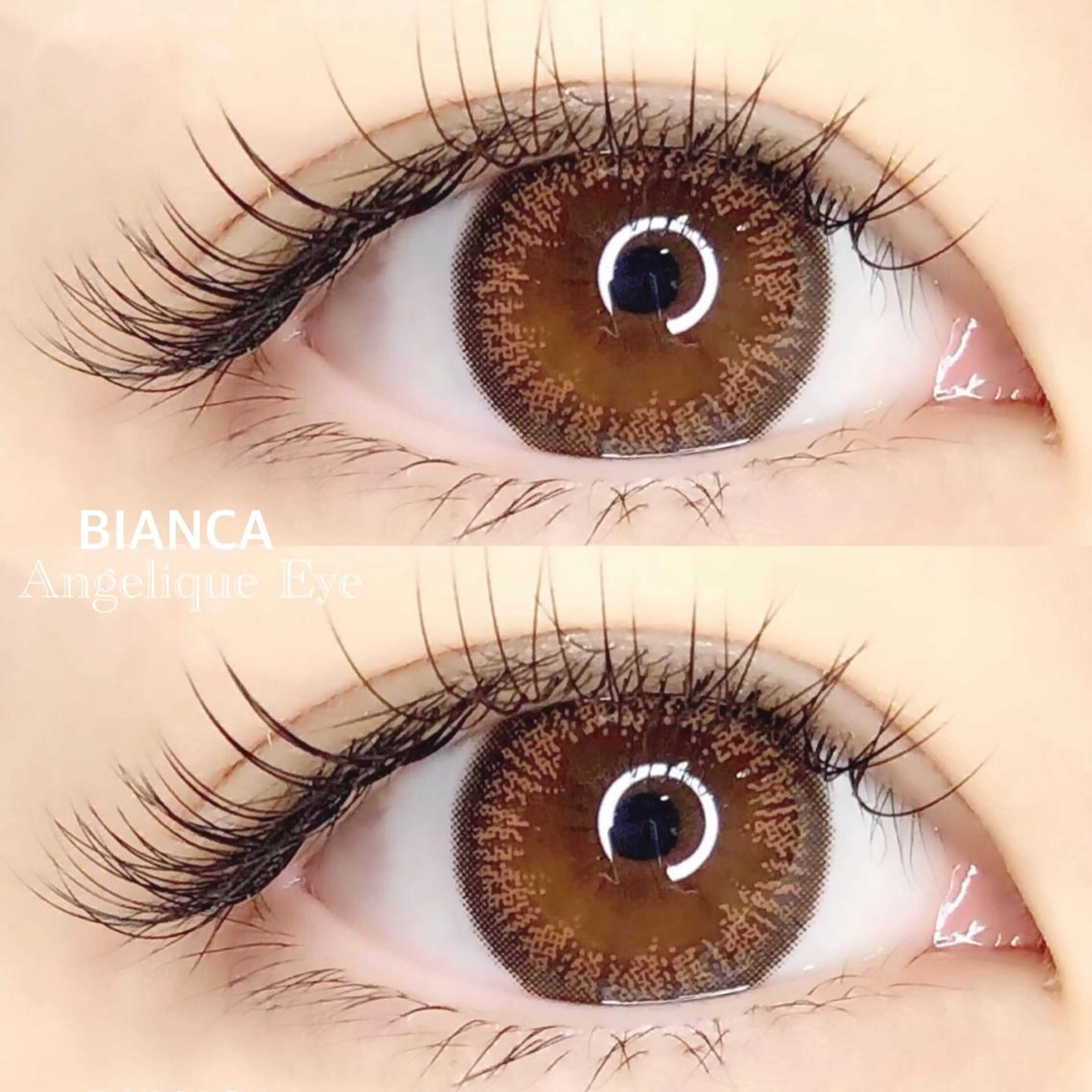 【 目元ぱっちり🪩】セーブル100本＋下まつげ20本🩵コーティング付の写真