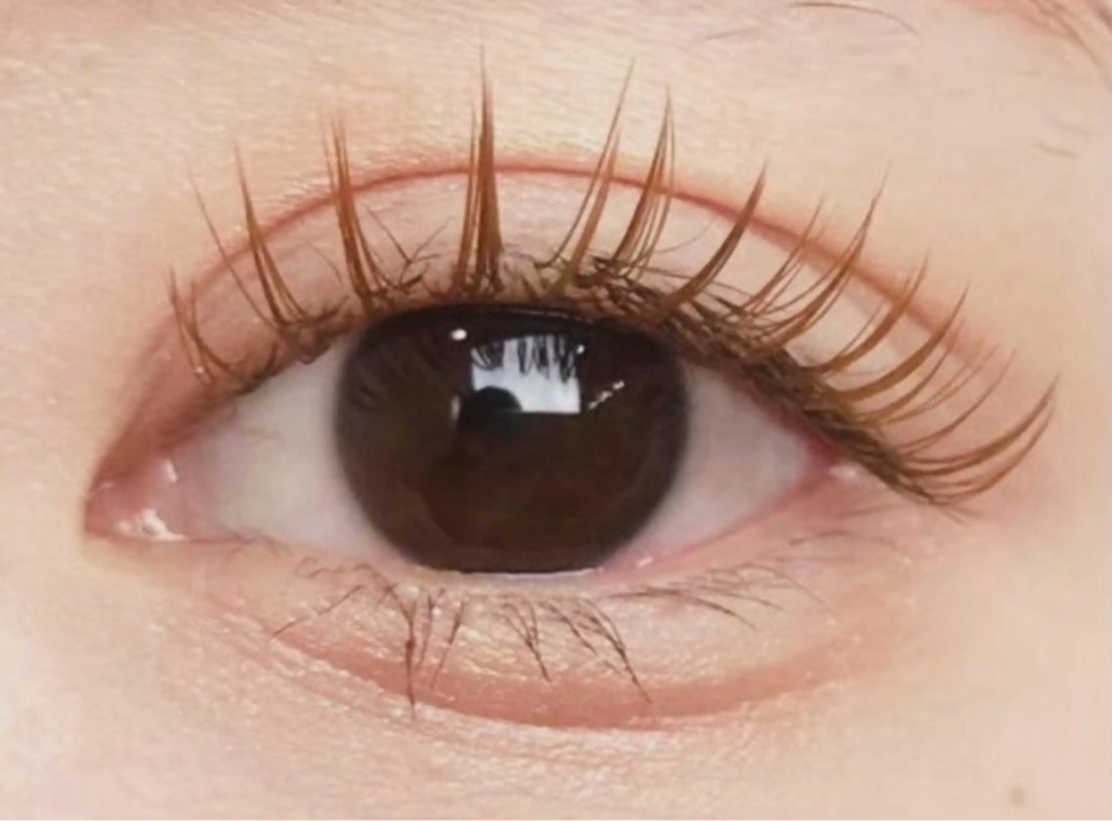 〖 初回オフ無料〗ブラウンフラットラッシュ100本の写真