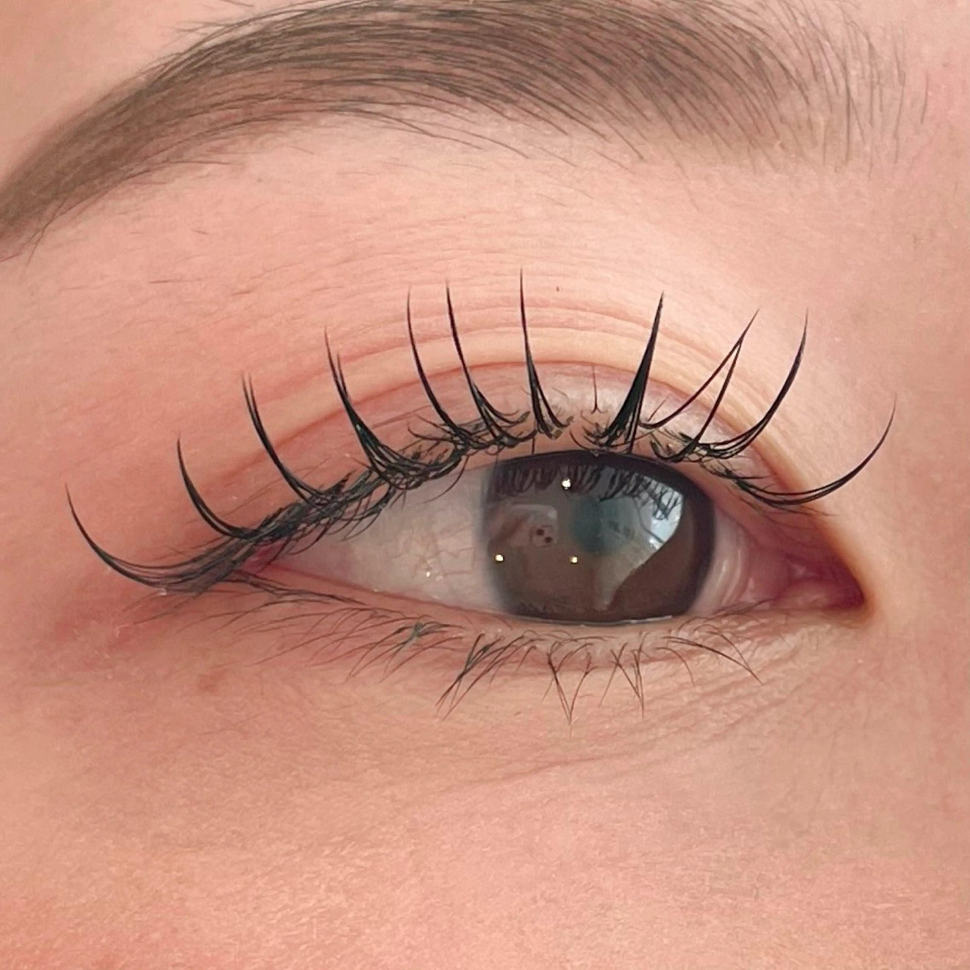 マツエク・マツパ 束感まつ毛 CCカール Cカール M's(ミス) LEDマツエクさくらのマツエク・マツパデザイン