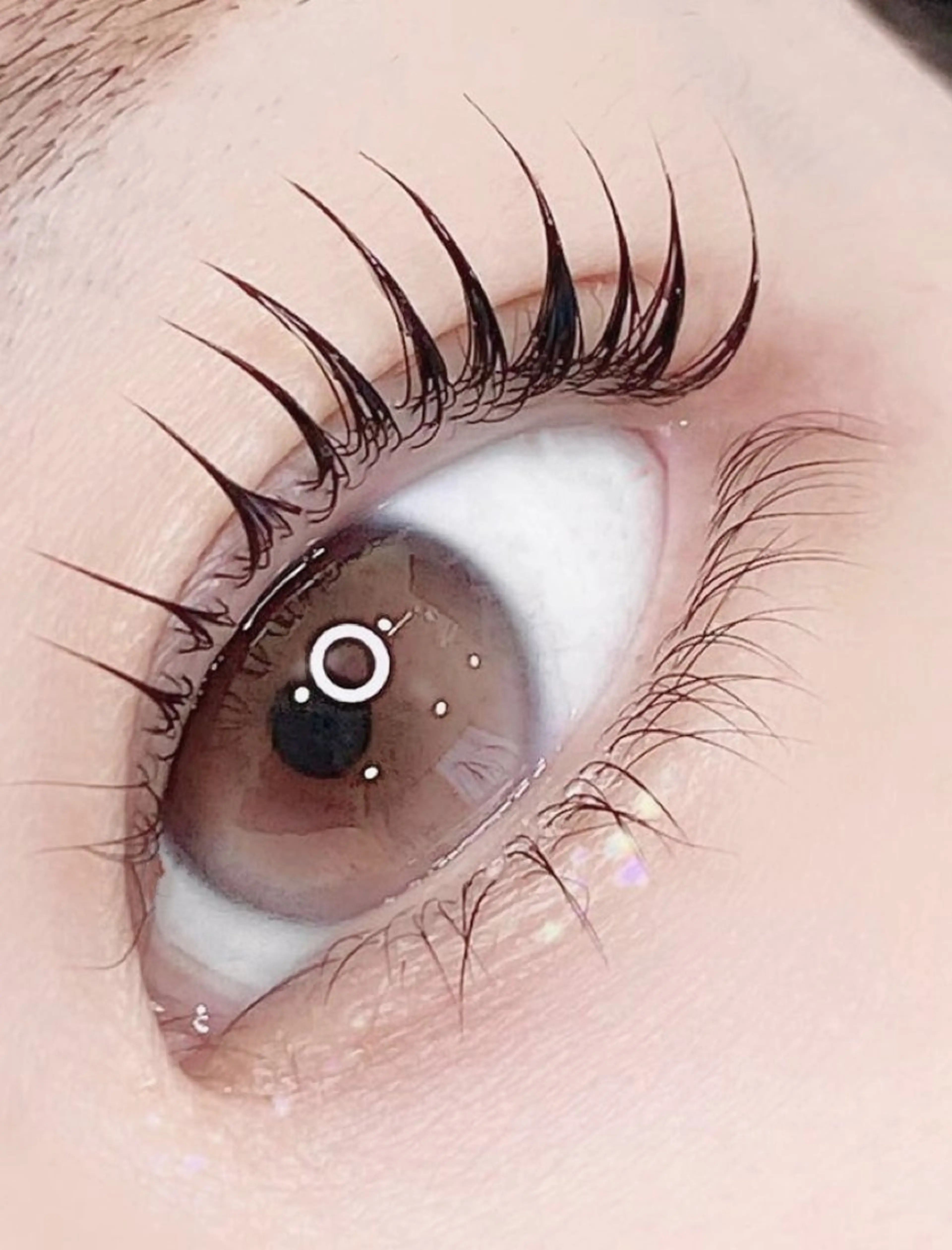 【ご新規さま限定】🫧🦩上まつ毛ラッシュリフトorパリジェンヌラッシュリフト【コーティングトリートメント付き】🦩🫧の写真