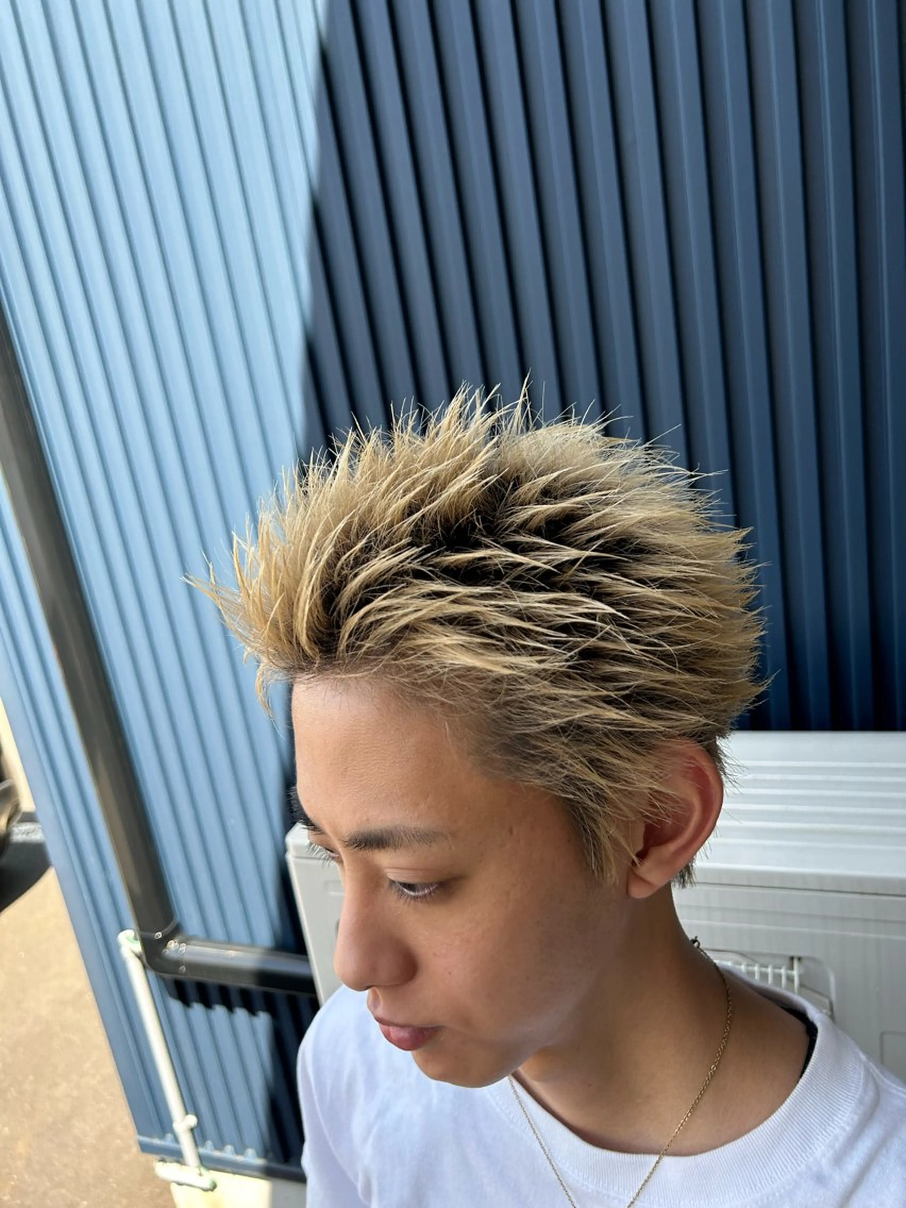 スパイキーショートの写真