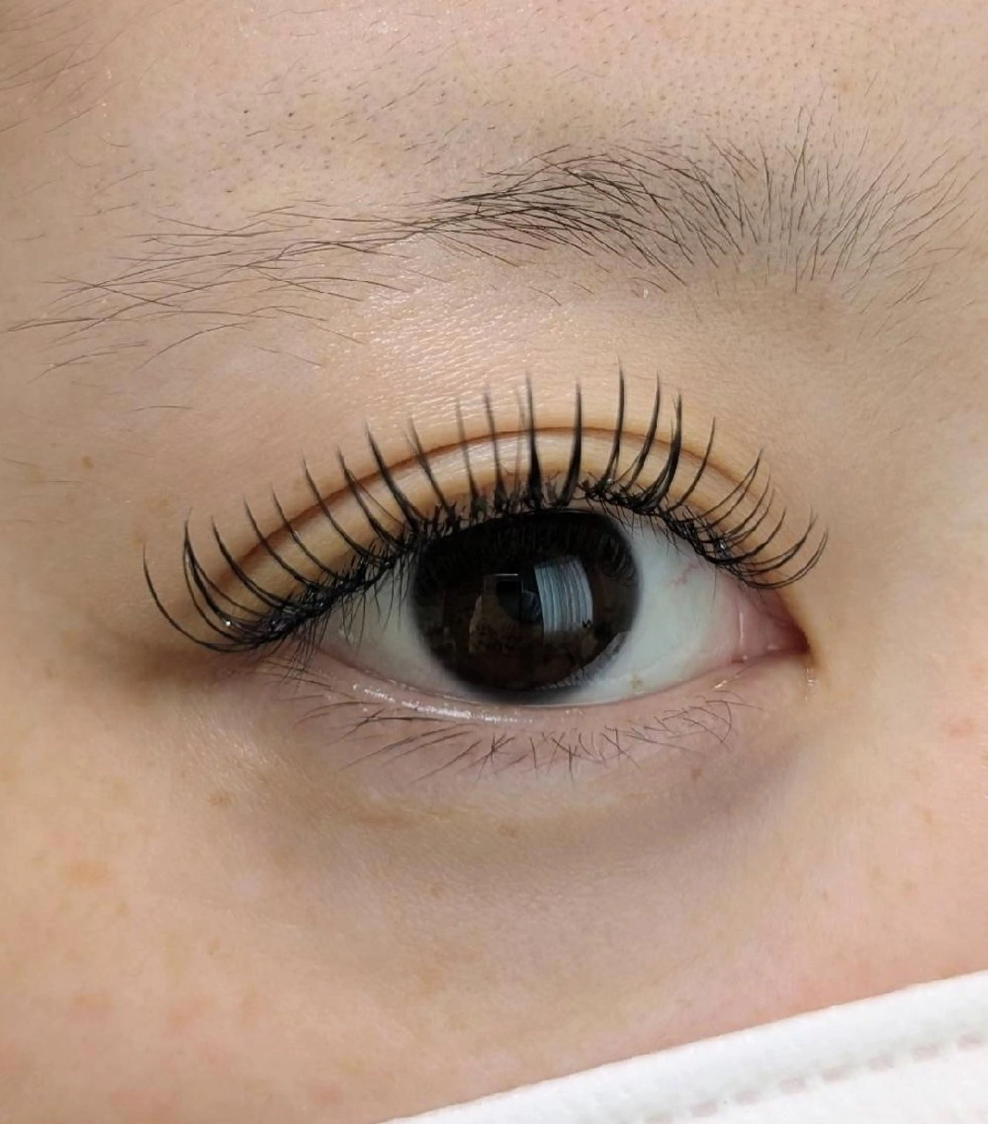 マツエク・マツパ マツエク utile eyelashのマツエク・マツパデザイン
