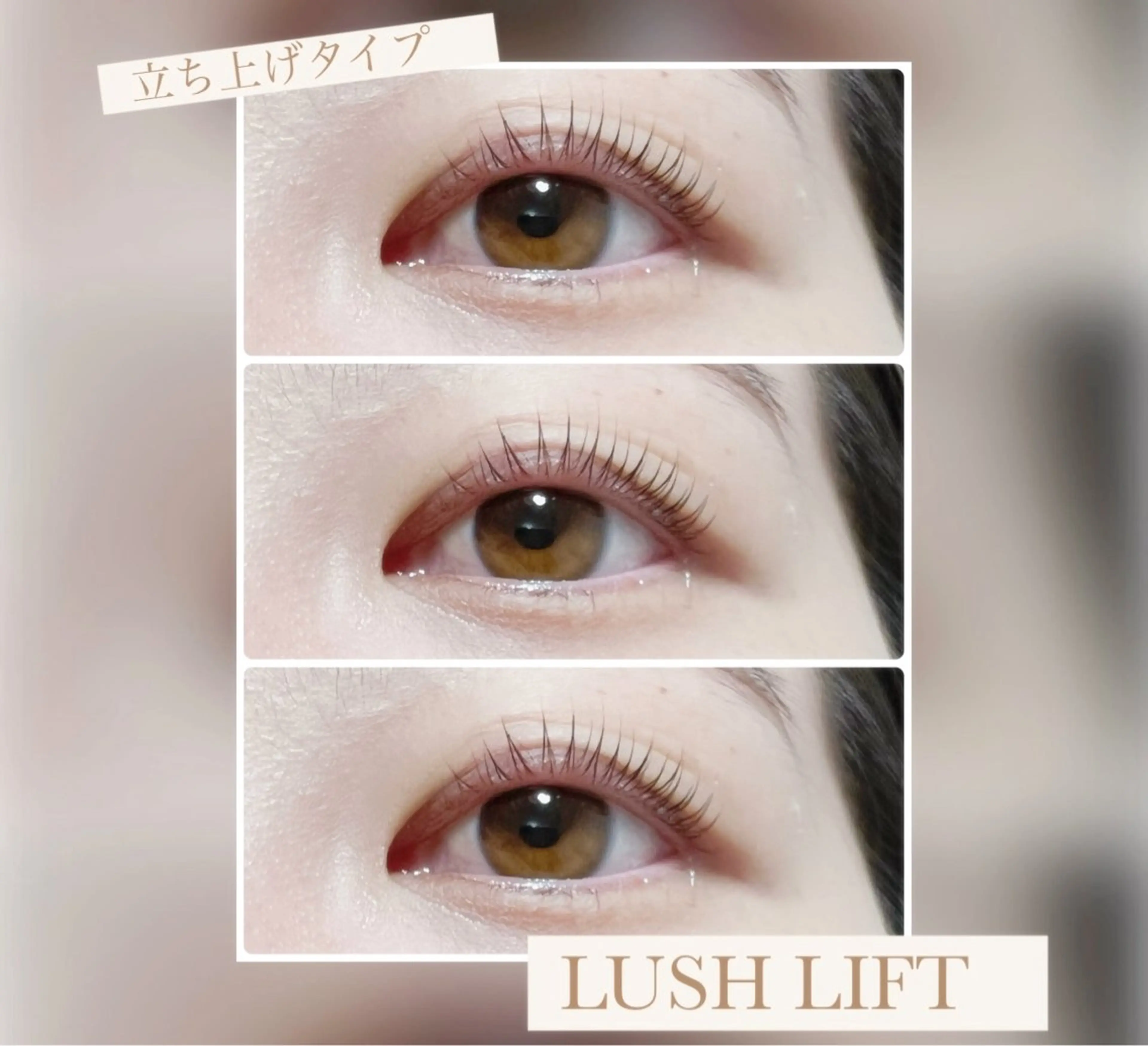 マツエク・マツパ PEPE LUANAのマツエク・マツパデザイン