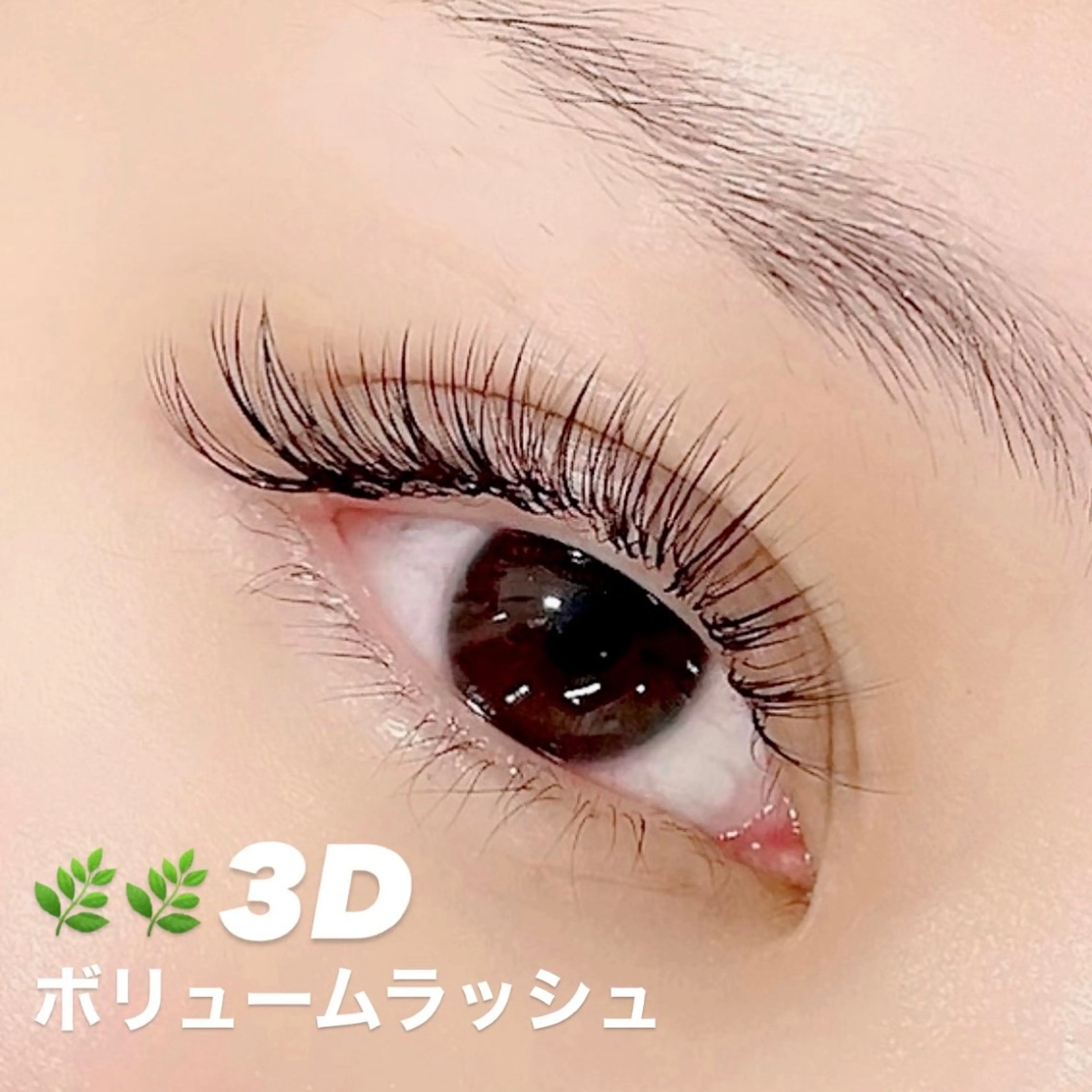 マツエク・マツパ Las' ebisu まつパ&美眉 専門店のマツエク・マツパデザイン