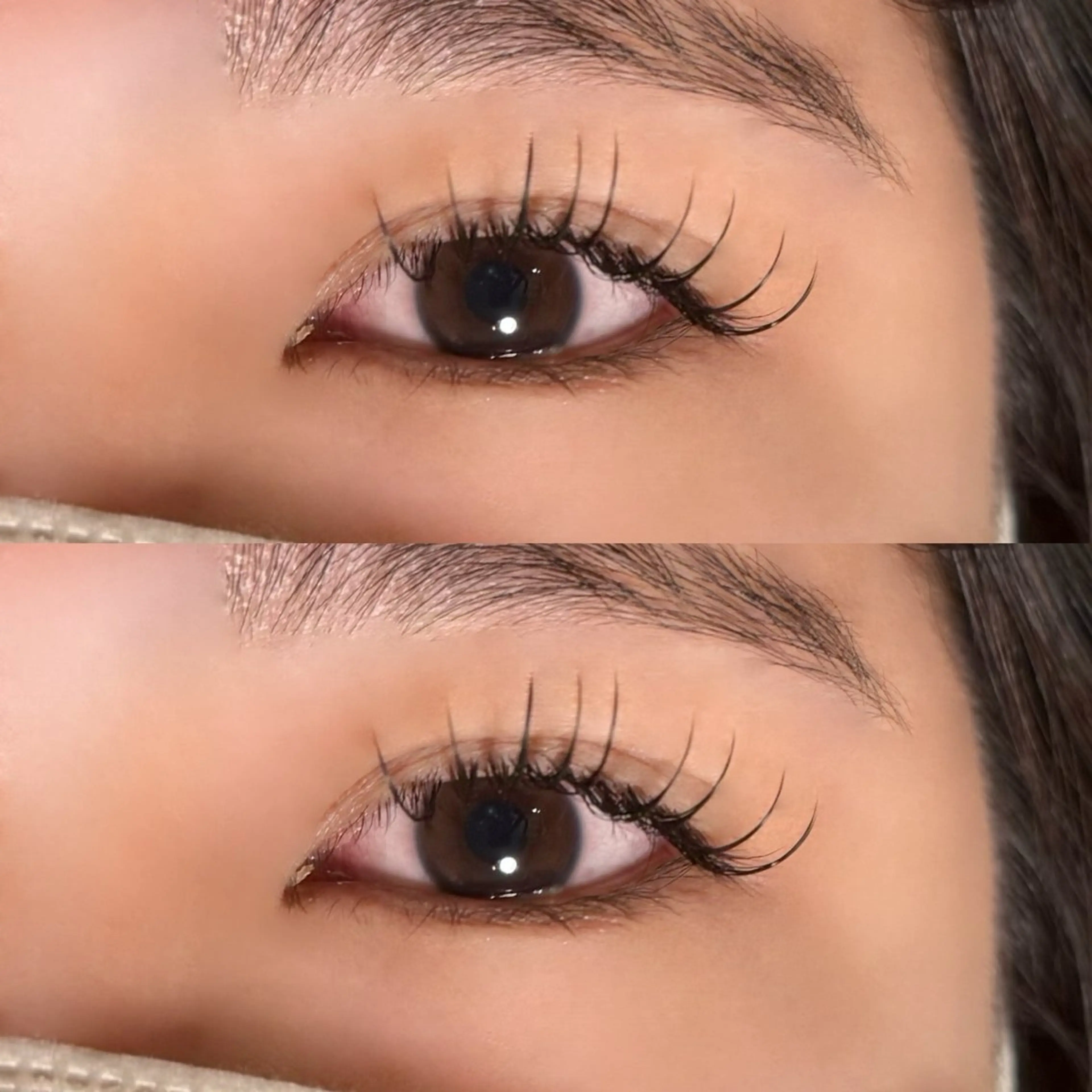 マツエク・マツパ マツエク 🐾ROAR🐾 HAZUKIのマツエク・マツパデザイン