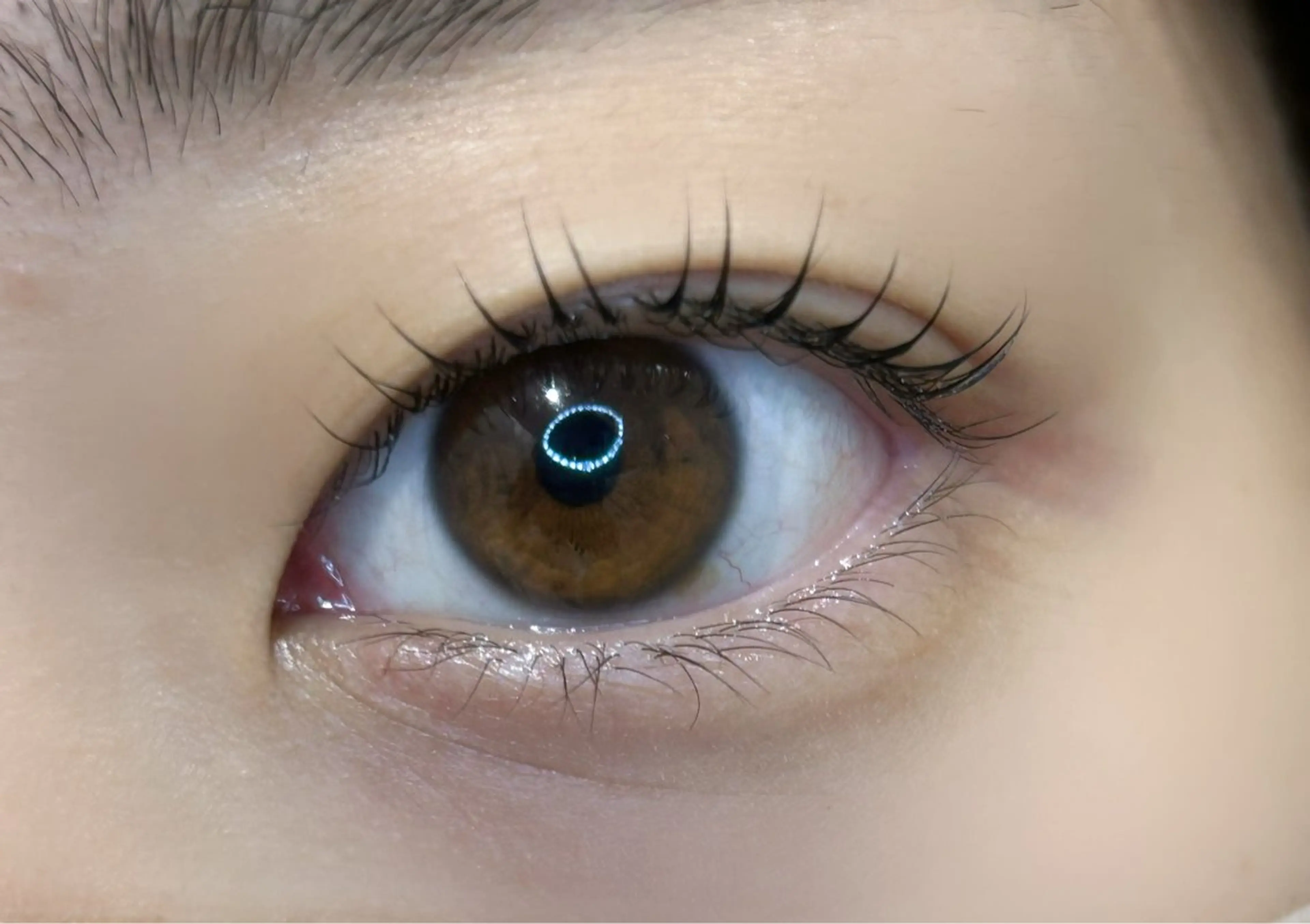 マツエク・マツパ まつげパーマ 🎀miel 心斎橋 Mayu🎀のマツエク・マツパデザイン