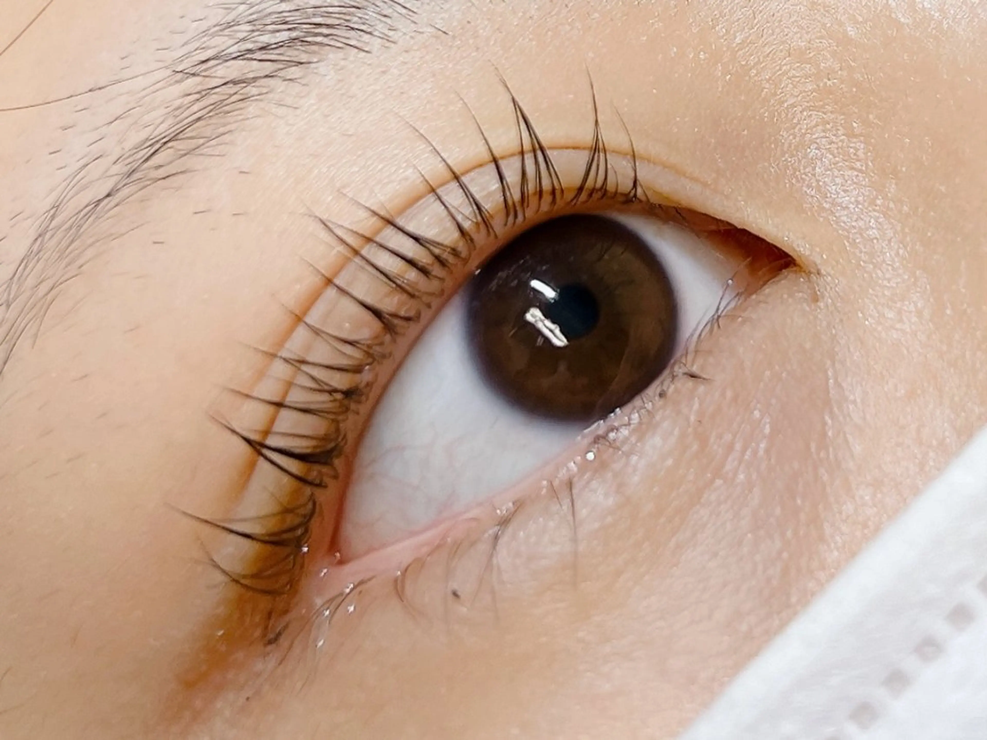 マツエク・マツパ マツパ Lyspois natsuのマツエク・マツパデザイン