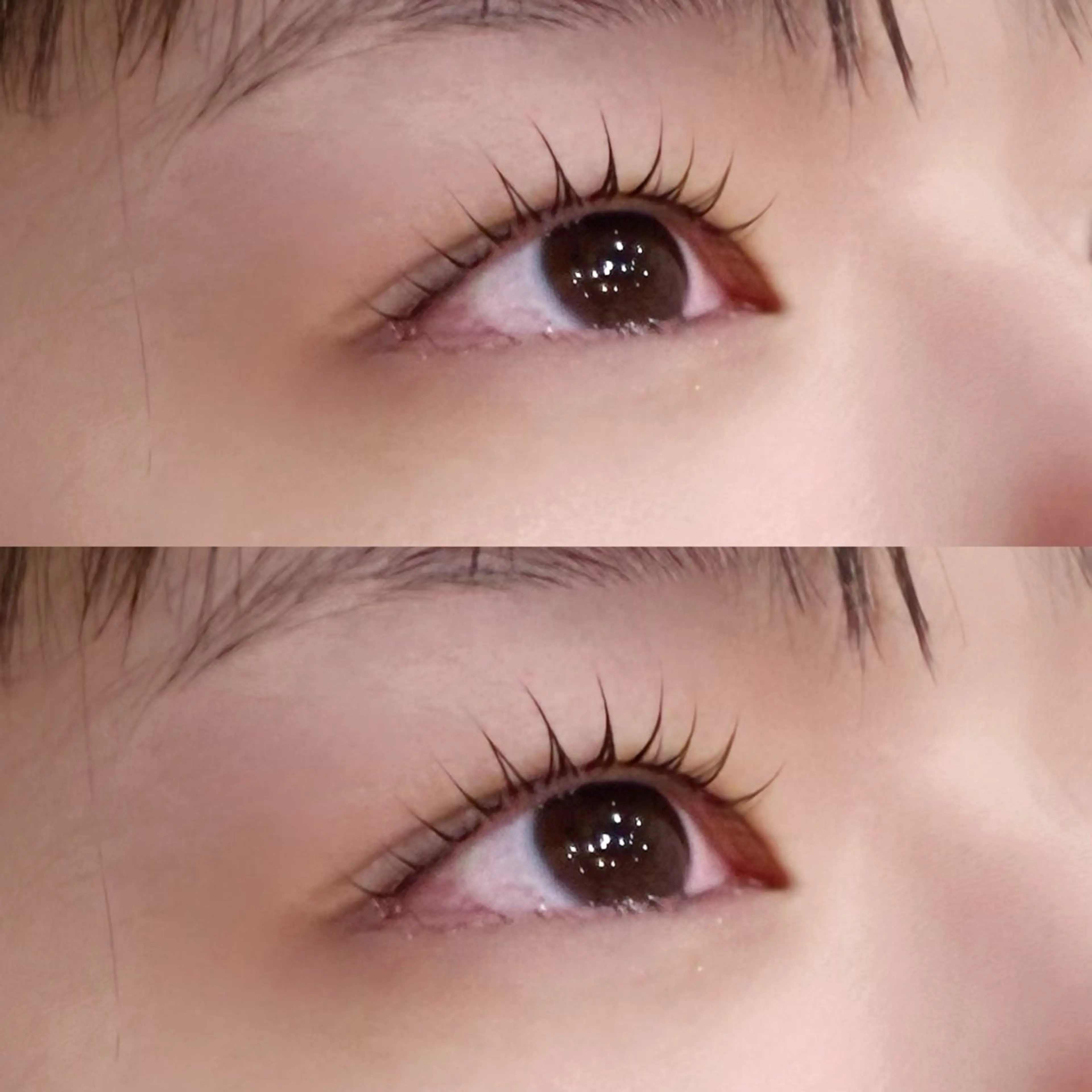 マツエク・マツパ Cカール BEAUTYGENE 🪽‪mayasaの眉毛・アイブロウイメージ