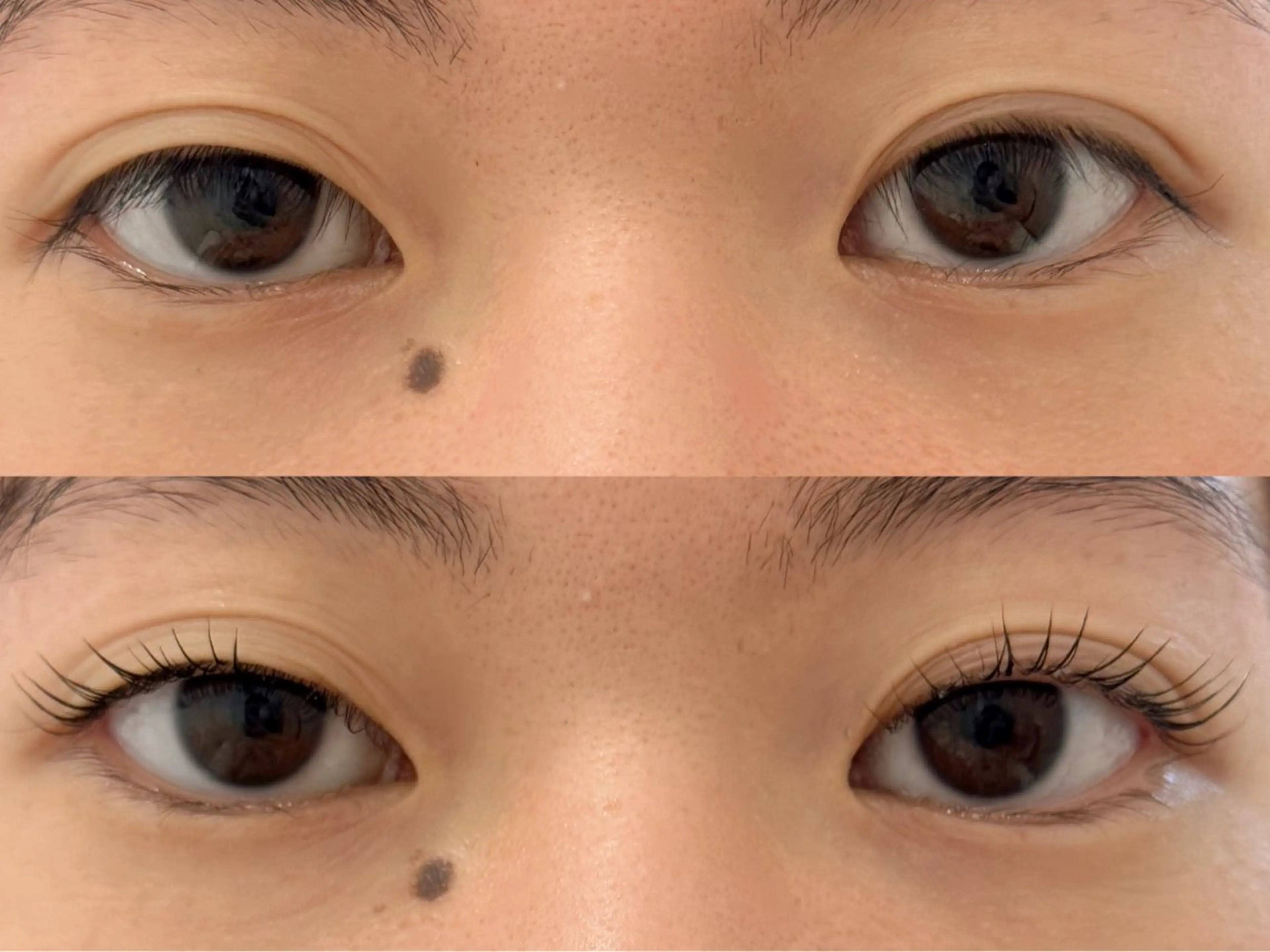 マツエク・マツパ まつげパーマ 🧸Lily船橋 石川🌿‬のマツエク・マツパデザイン