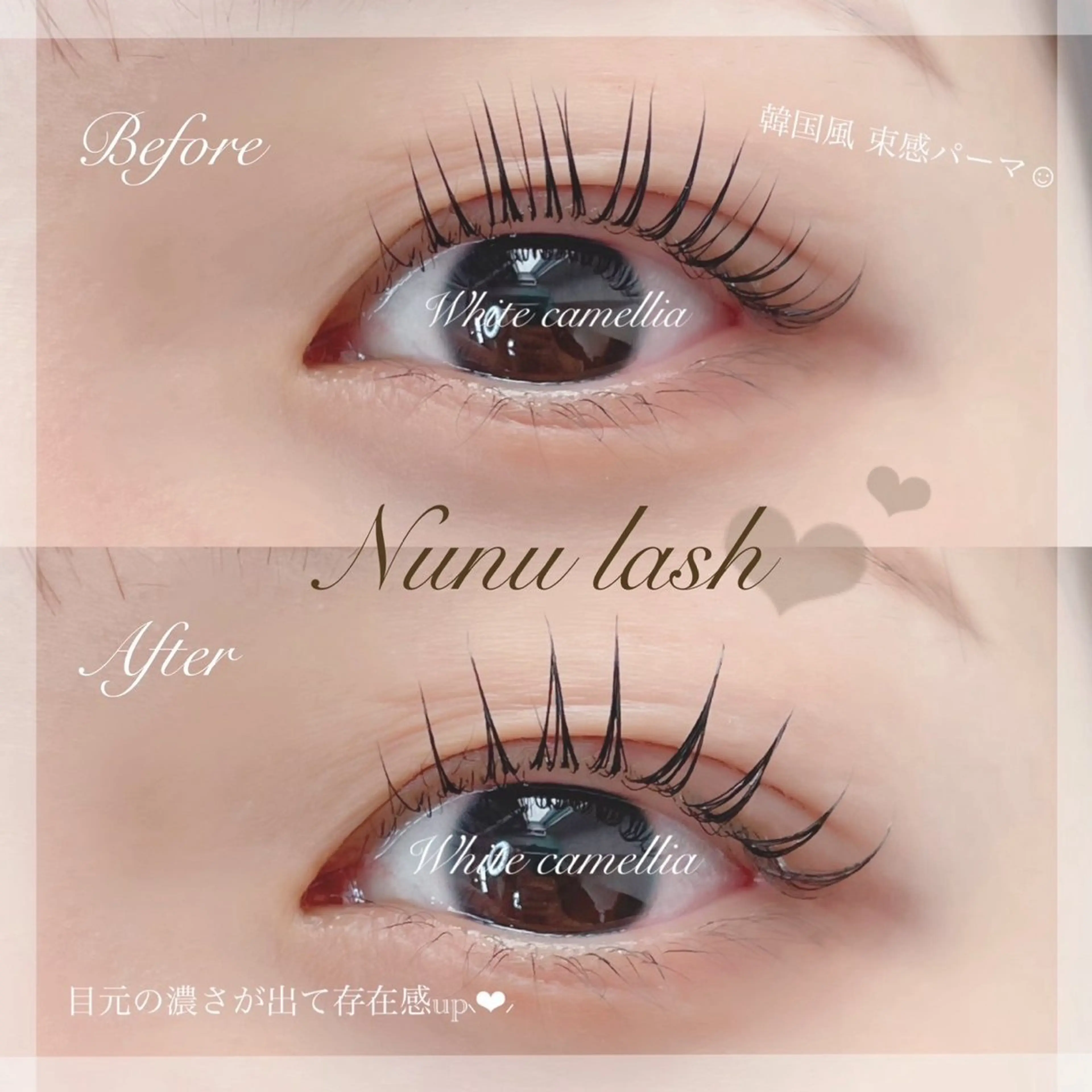 マツエク・マツパ miyu/圧倒的モチ /韓国風束感のマツエク・マツパデザイン