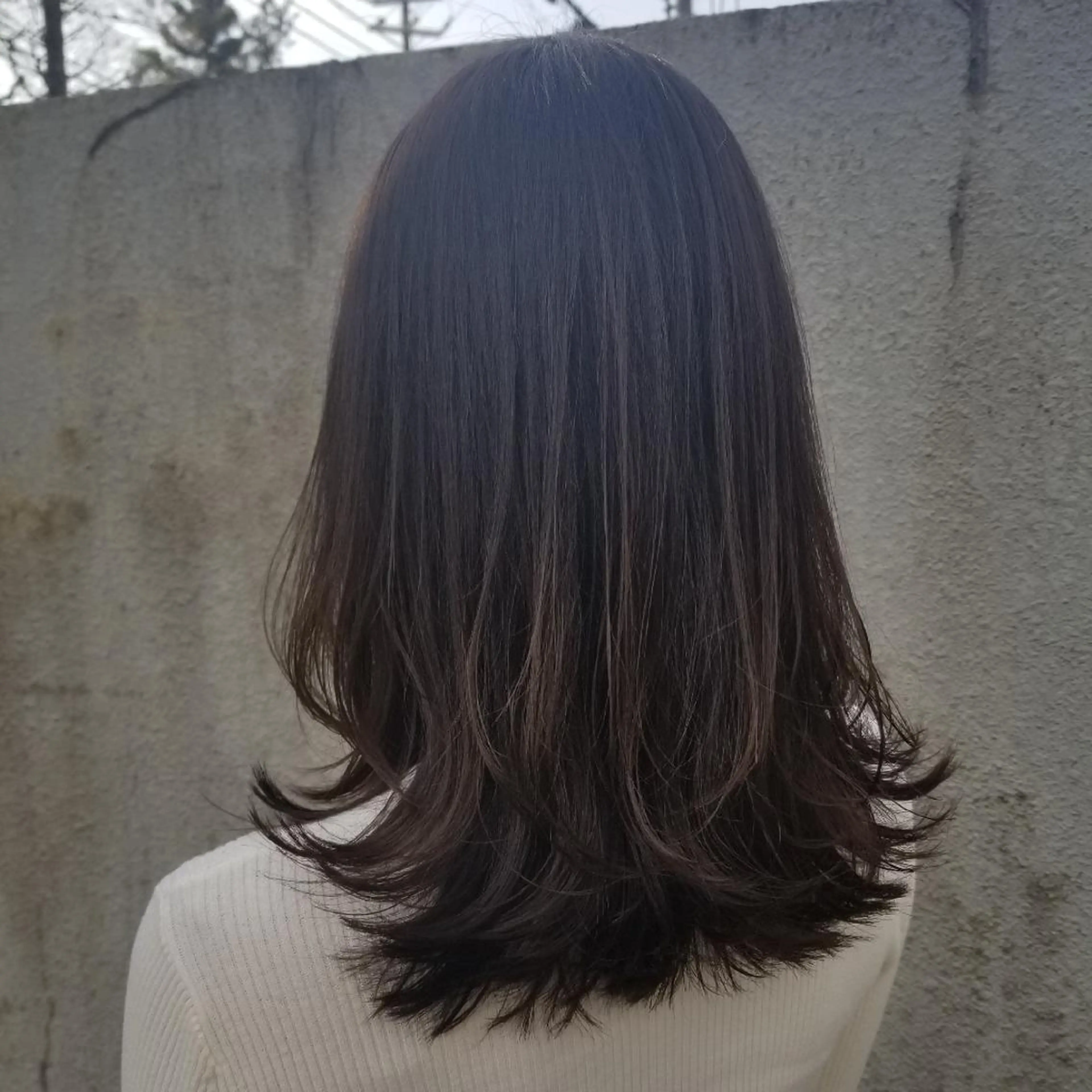 ミディアム belta 姫路山吹 カラーモデル募集のヘアスタイル