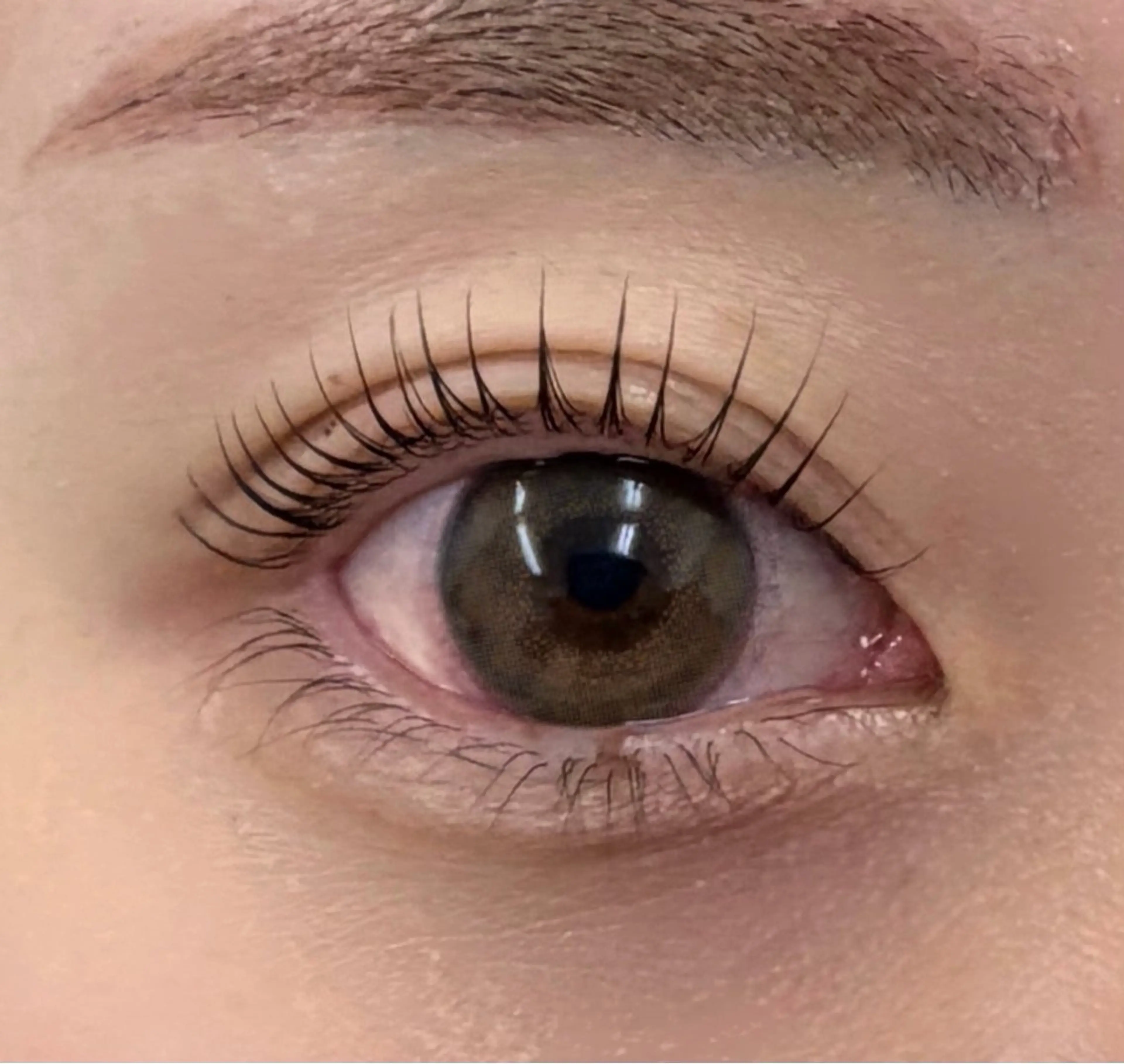 4月,5月限定💫 Lash lift🫧束感コーティング仕上げ※写真撮影必須の写真