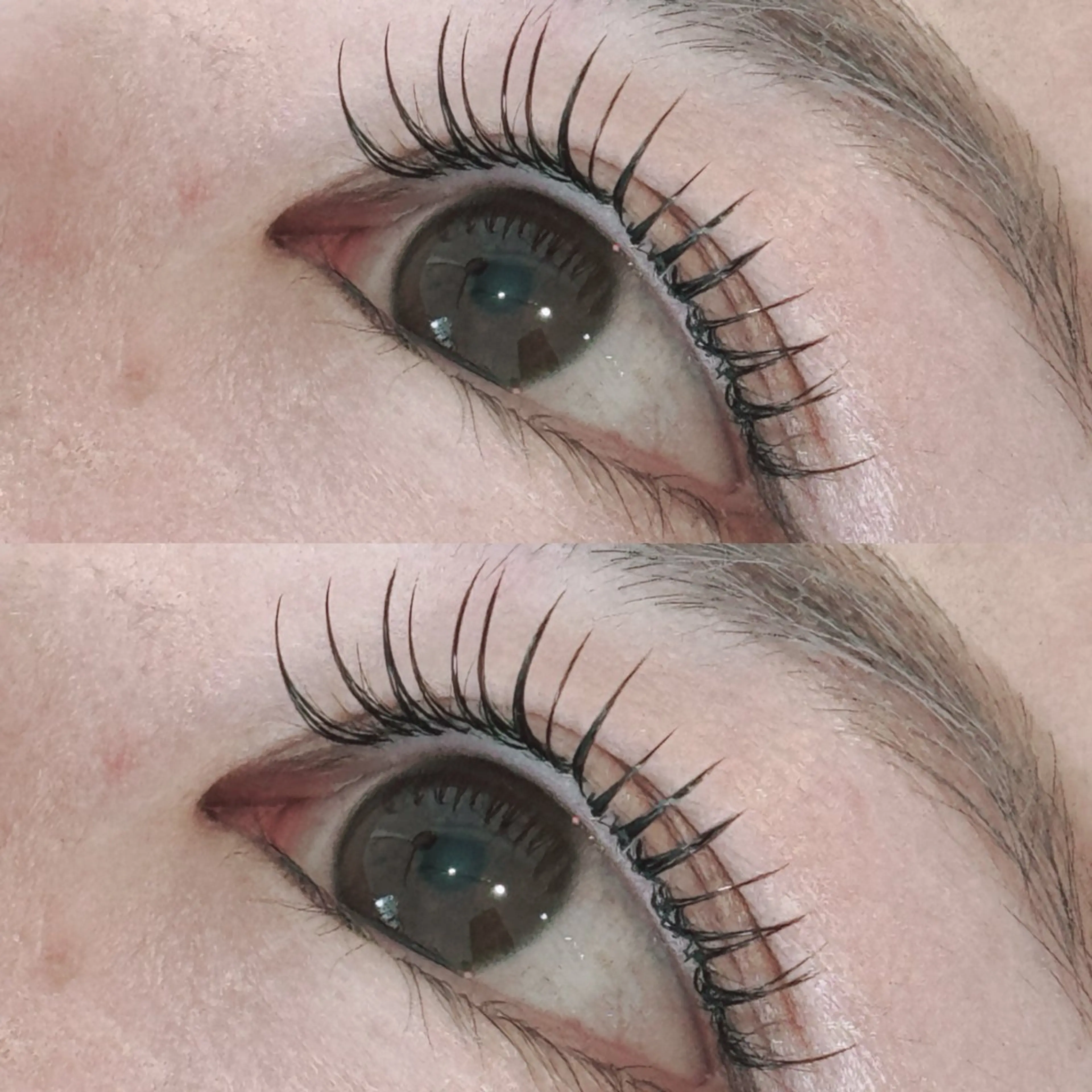 マツエク・マツパ Cカール マツエク August 大野のエステ・リラクイメージ