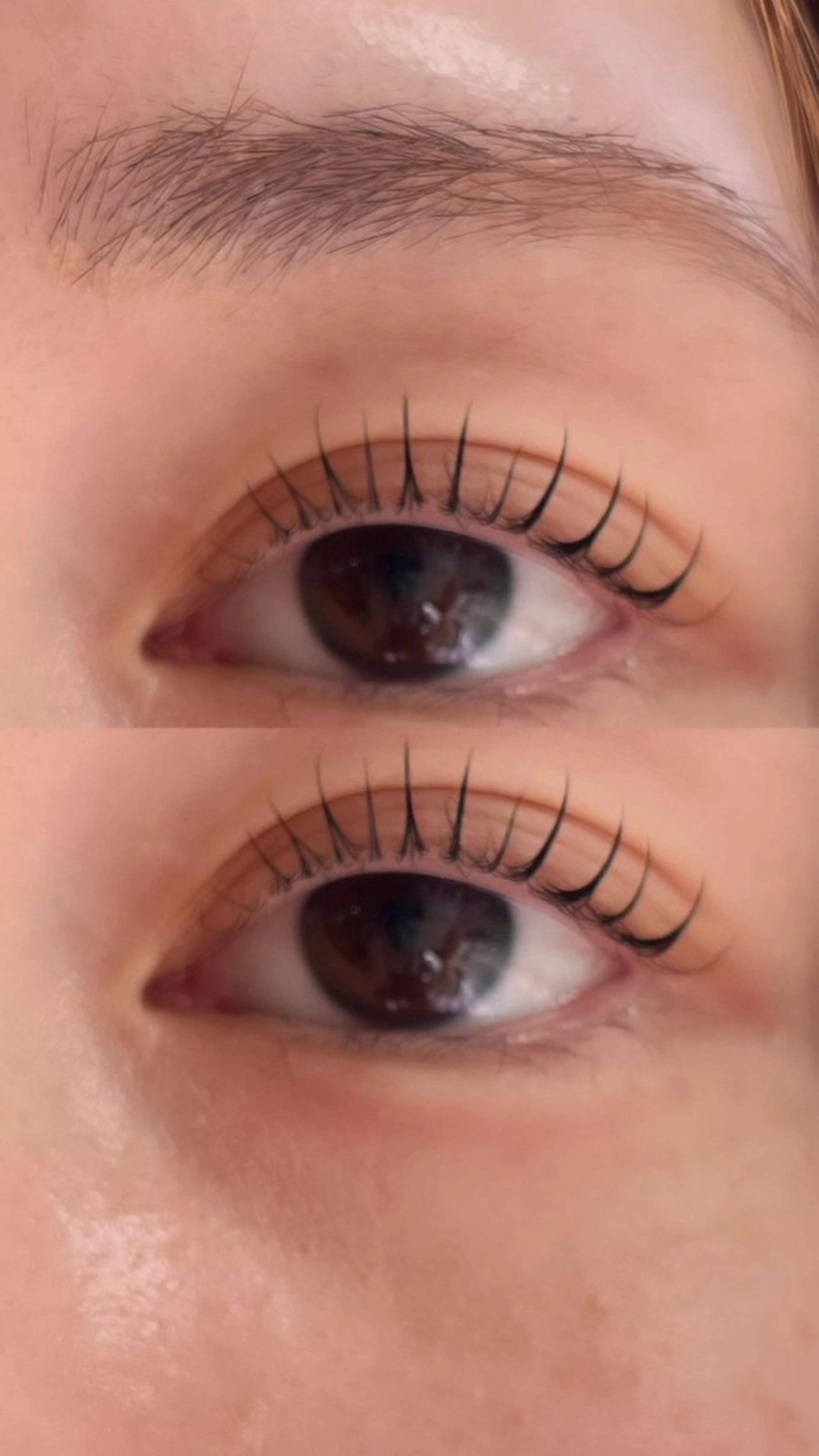 マツエク・マツパ パリジェンヌラッシュリフト 宮本麻央🎀🪽L ULUeyelashのマツエク・マツパデザイン