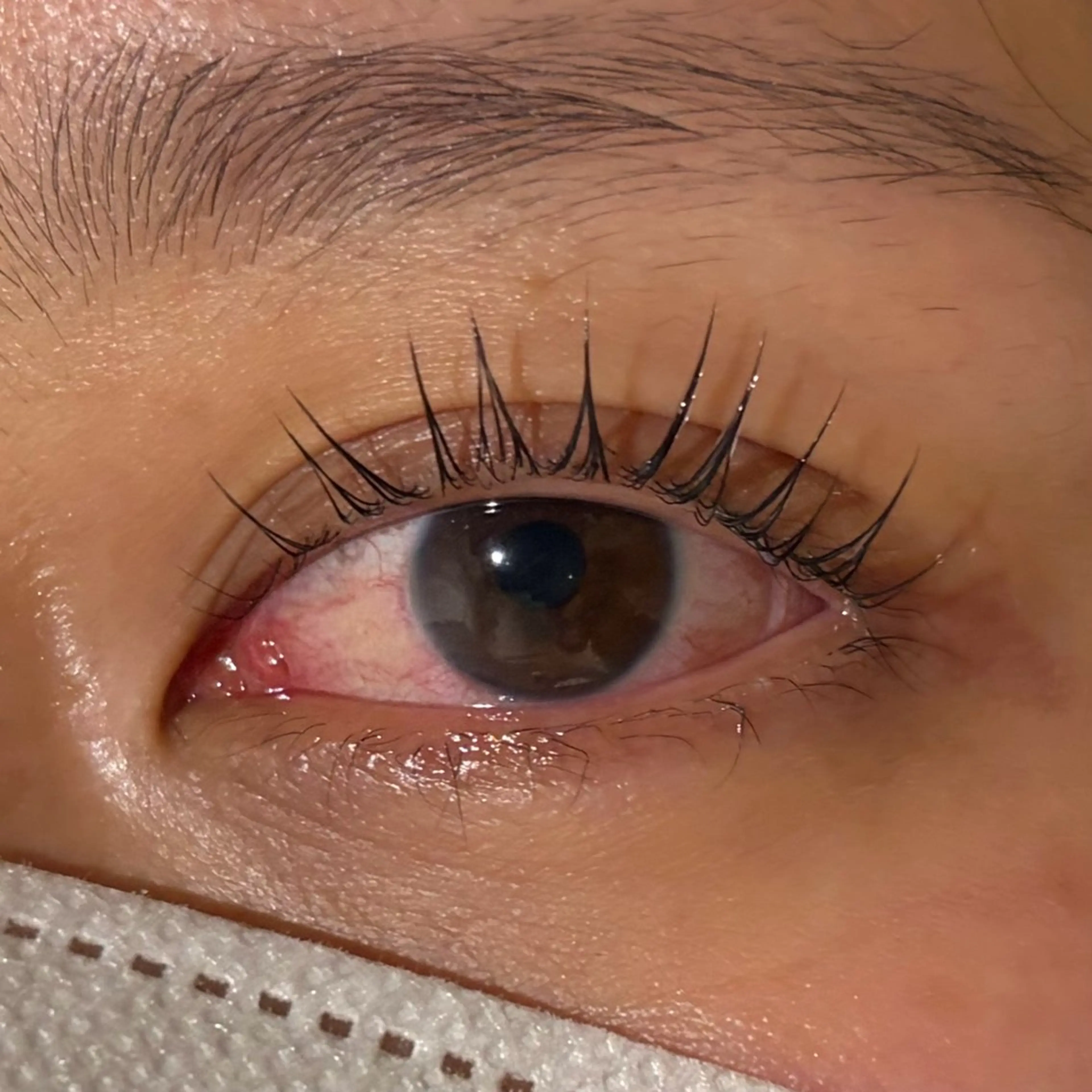 マツエク・マツパ マツパ ななみ.⋆𝜗𝜚 暖色艶カラー/まつパのヘアスタイル