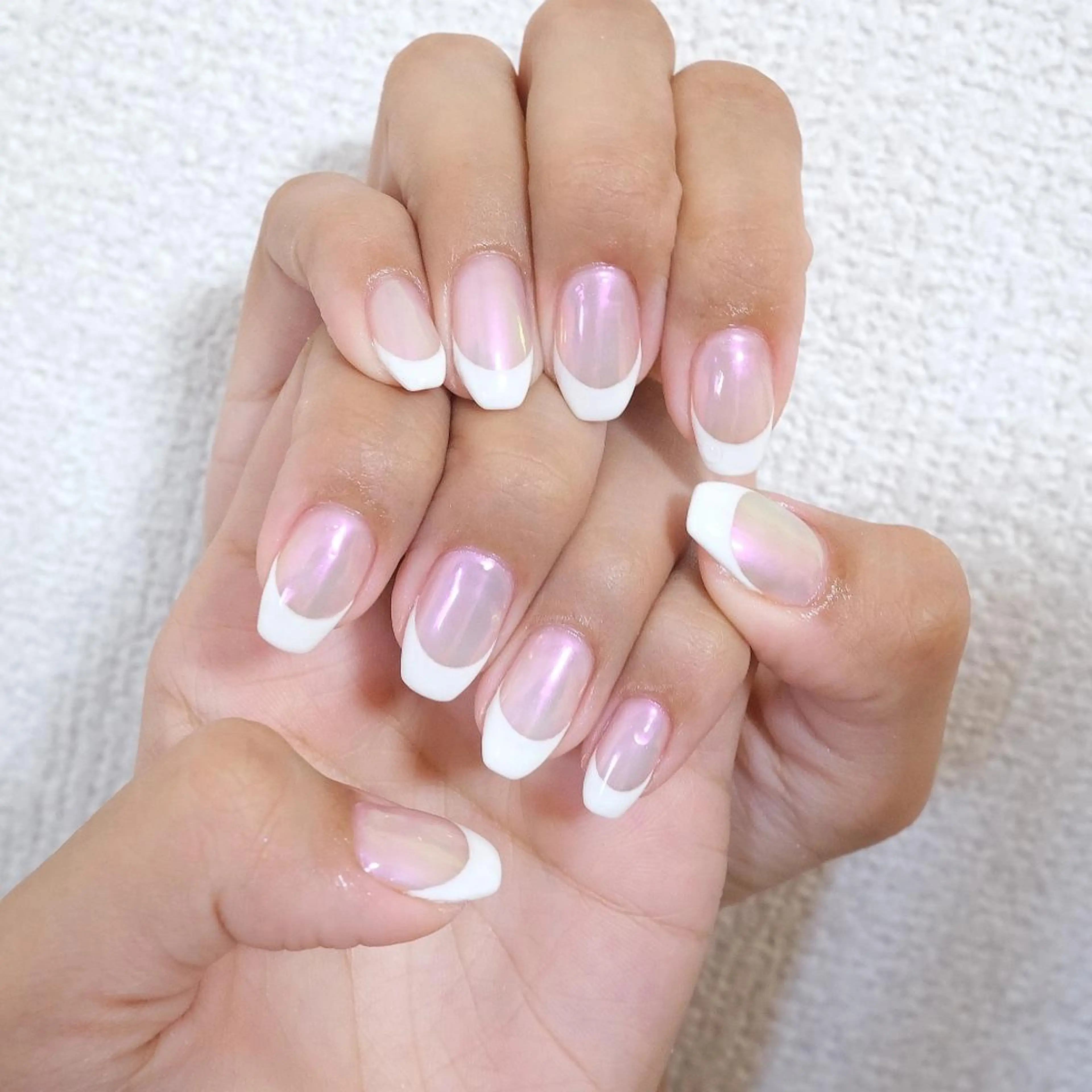 French/Gradationの写真