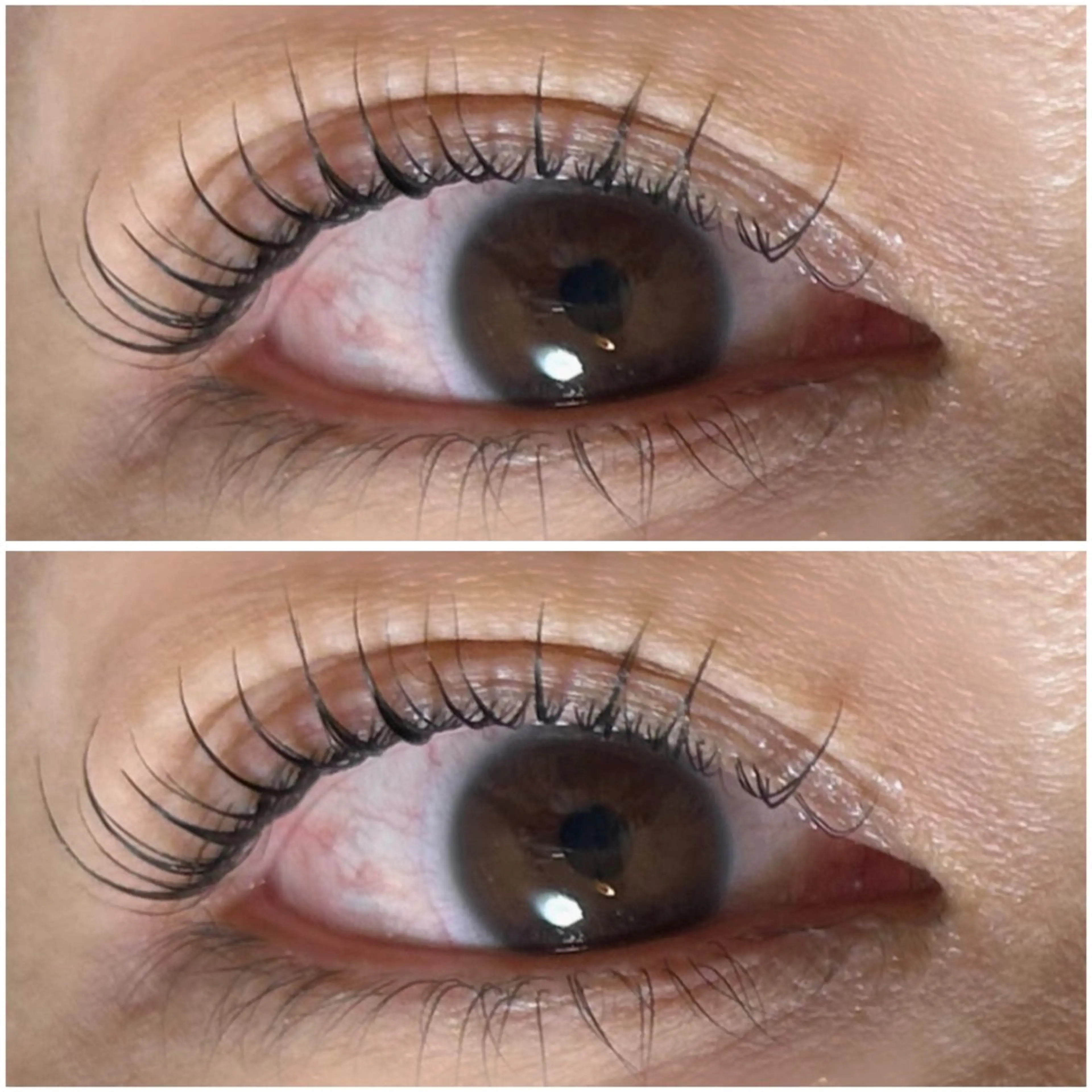 マツエク・マツパ マツパ LaMa Nのマツエク・マツパデザイン