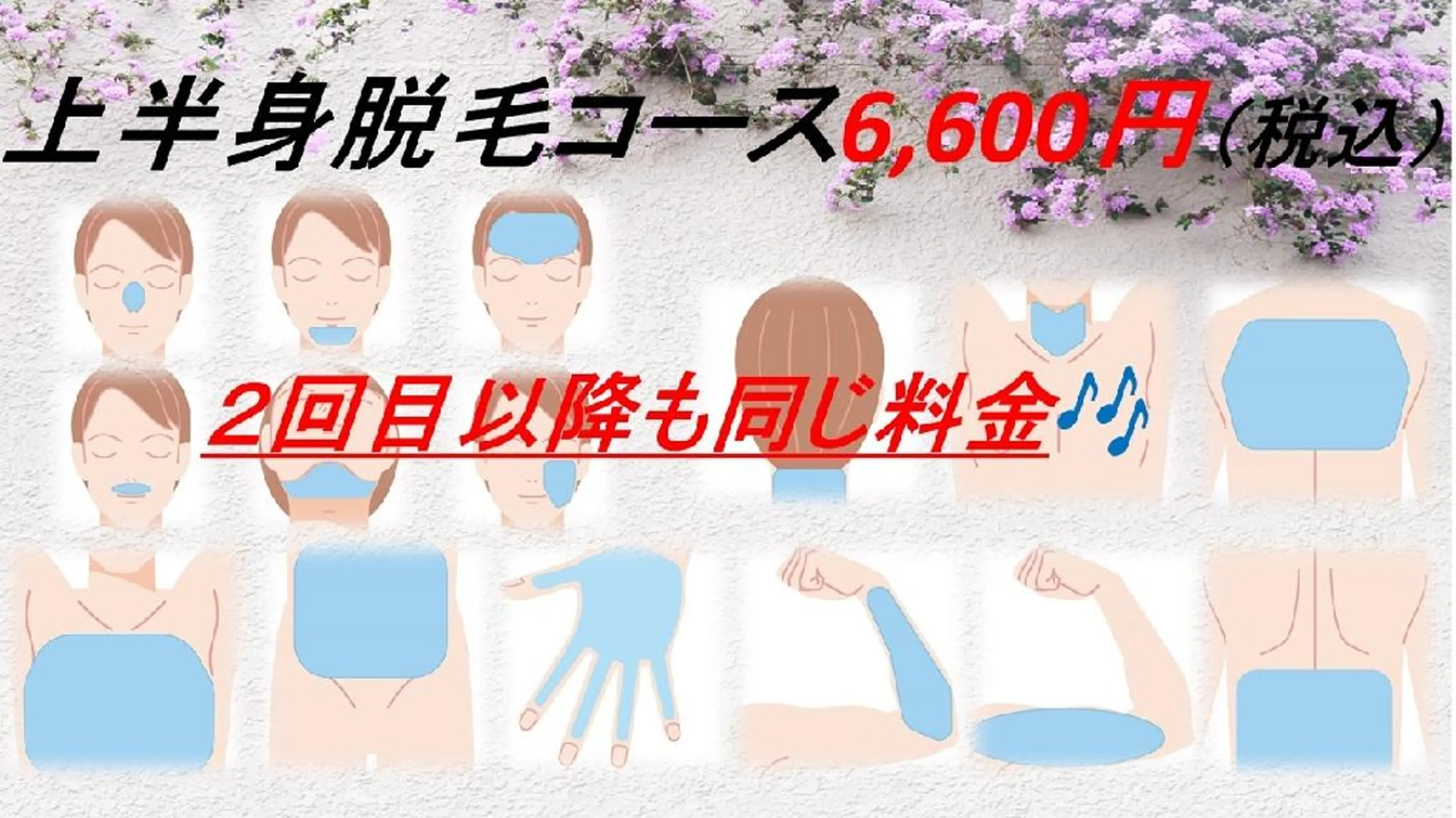 上半身脱毛コースの写真