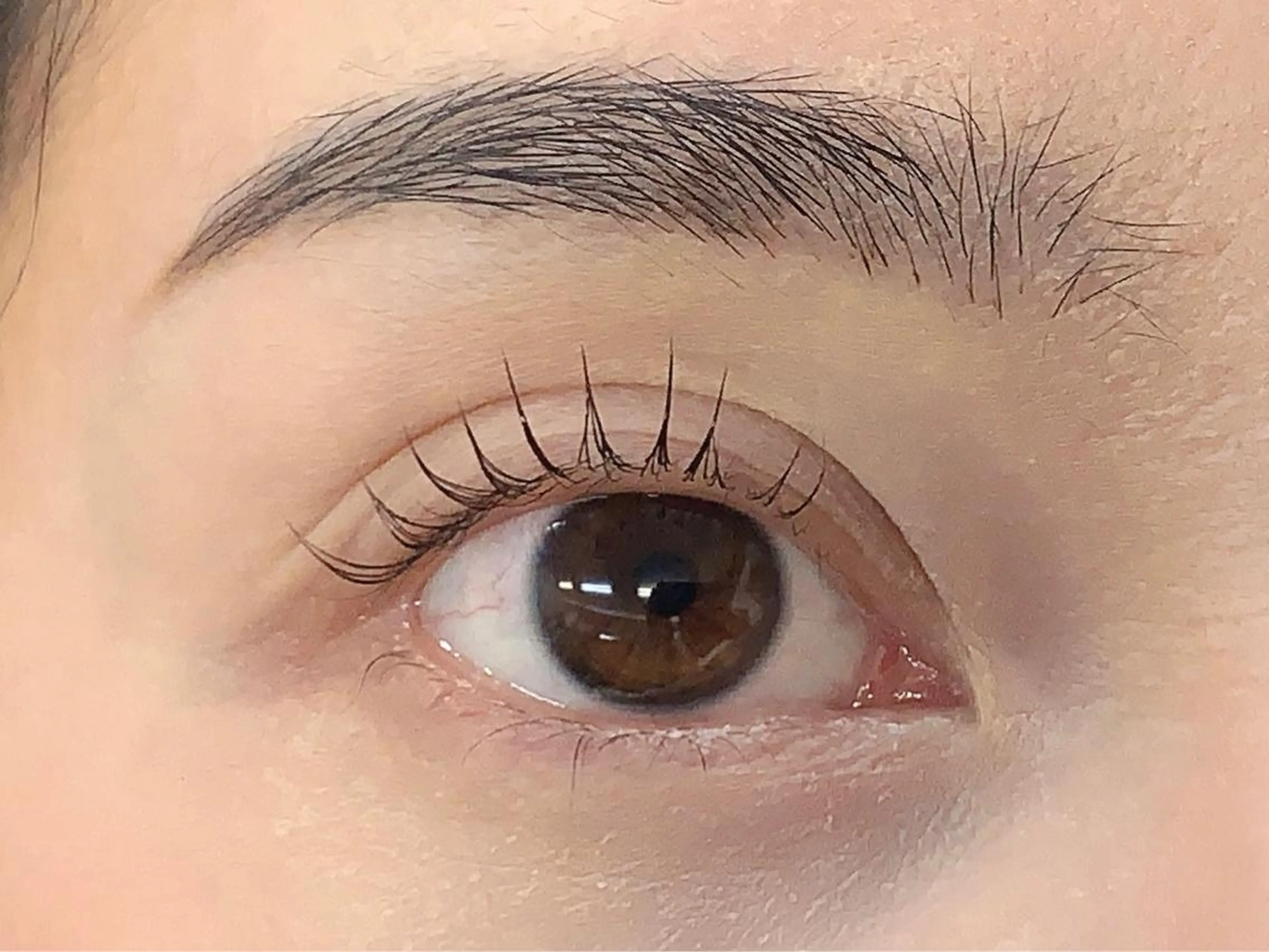 マツエク・マツパ Lil by Fan. 菊池のマツエク・マツパデザイン