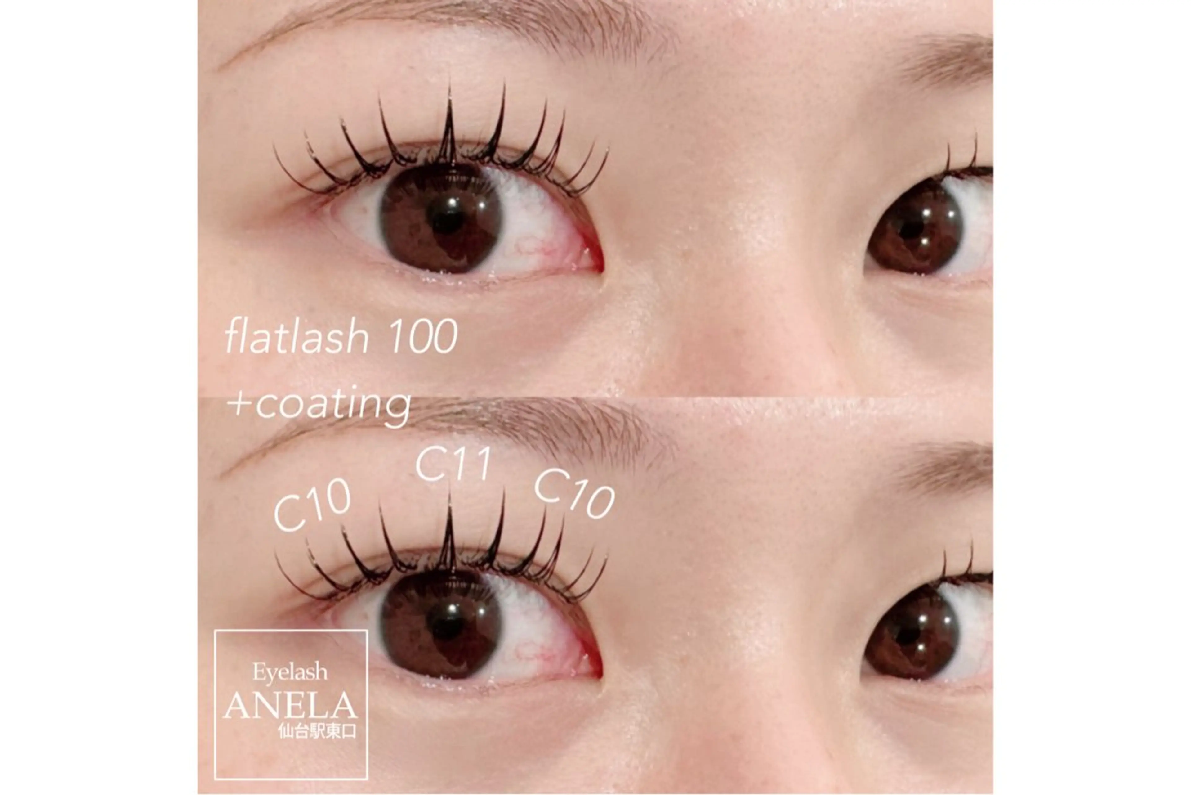 ♥️19日16:00限定募集♥️オフなし/フラットラッシュ100本♥️無料!研修スタッフによる施術となります🤝🏻✨の写真