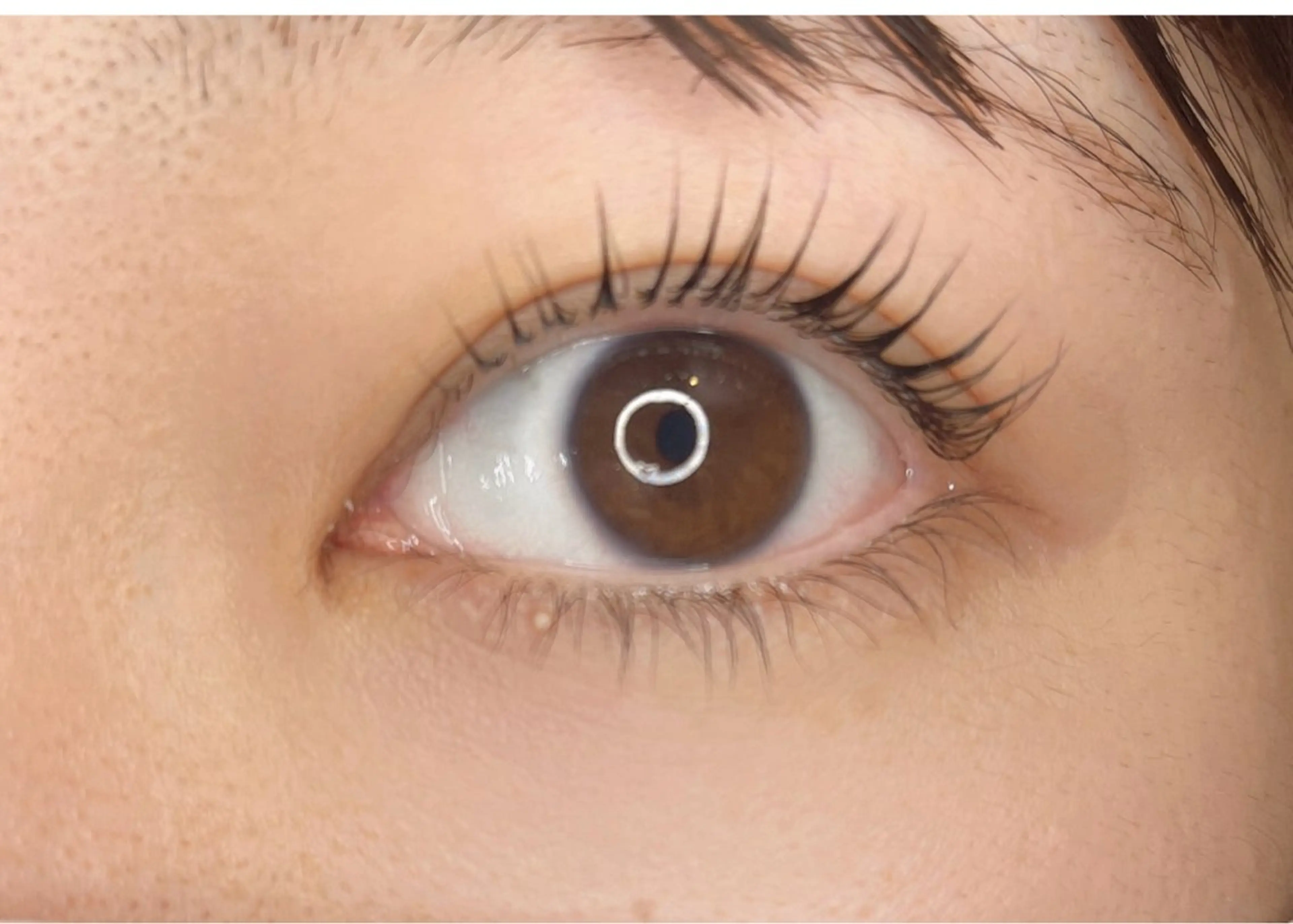 マツエク・マツパ cocoro💜 中野の眉毛・アイブロウイメージ