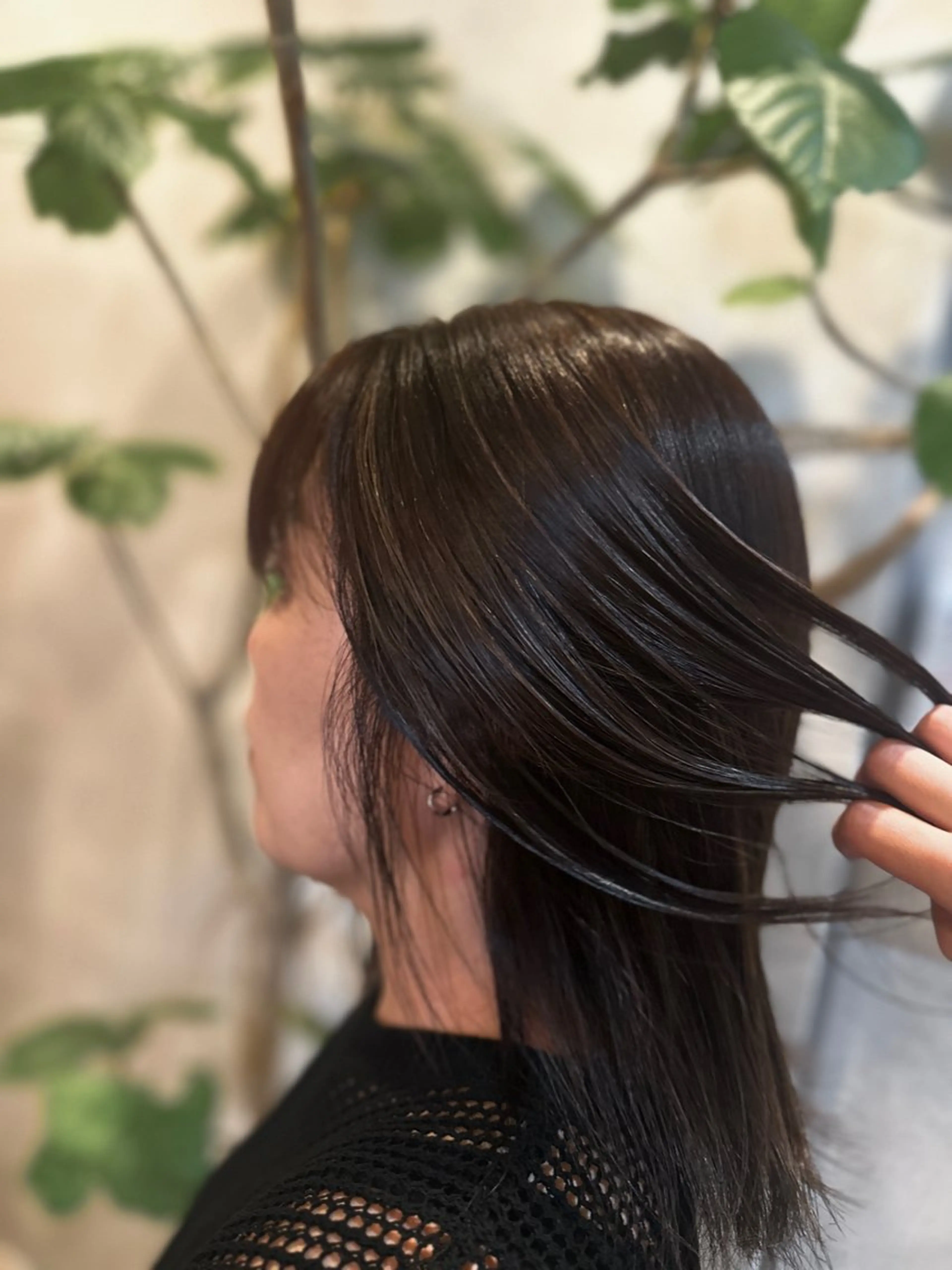 カラー（デザイン・ローライト・ハイライト）🪅+シェルミートリートメントの写真