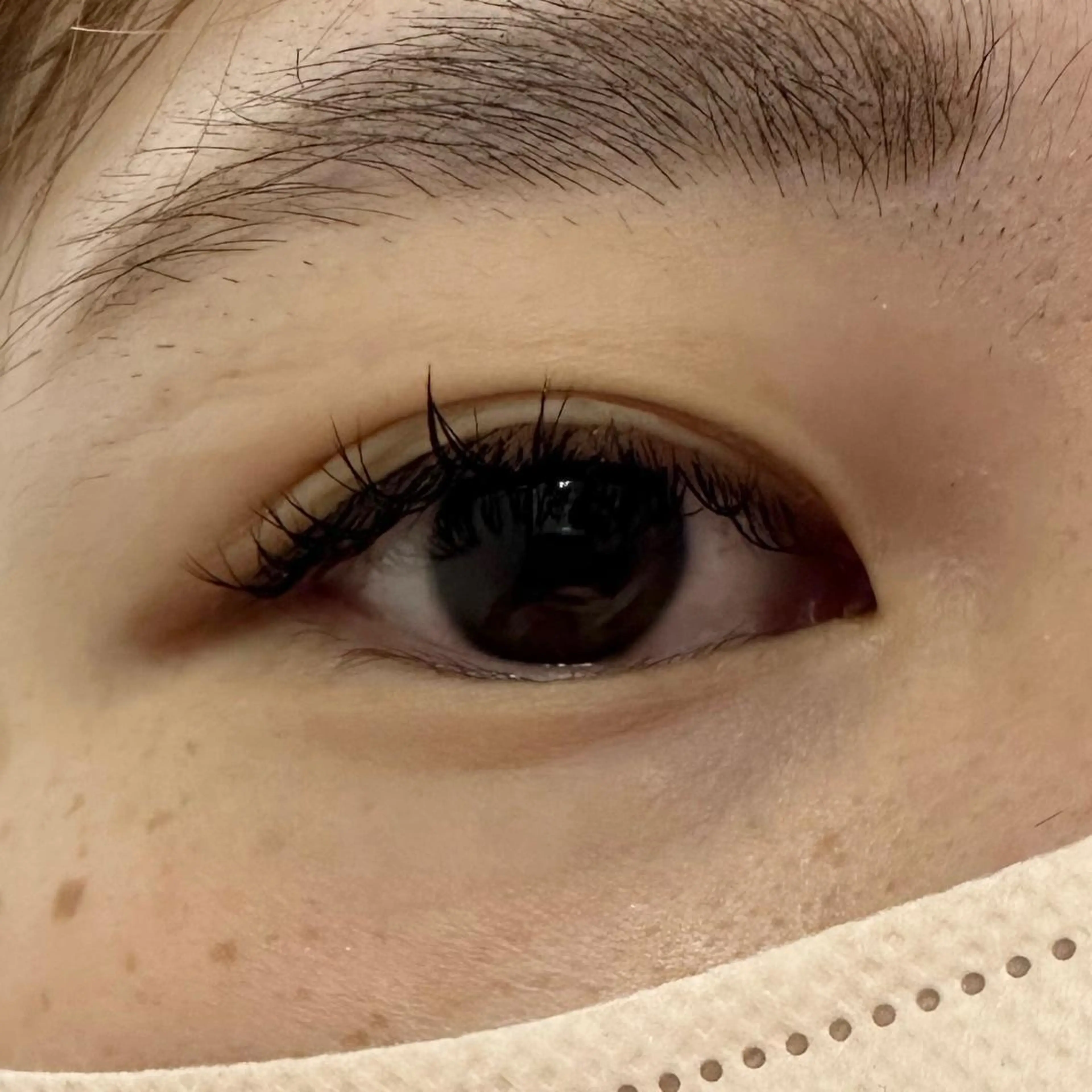 マツエク・マツパ Cカール Miyu🦄ash メンズカット/まつげのヘアスタイル