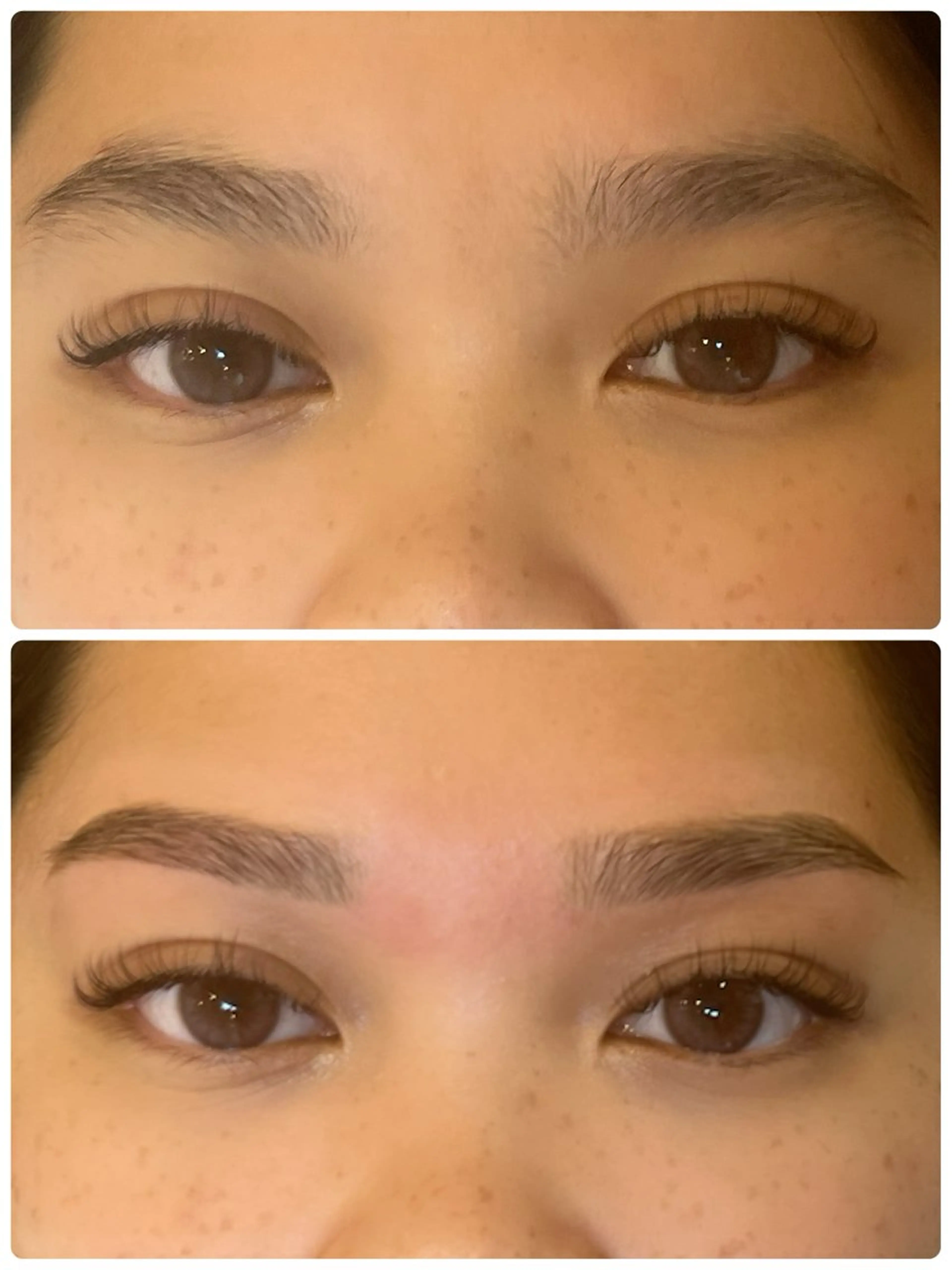 アイブロウ 🧡 Ayameの眉毛・アイブロウイメージ