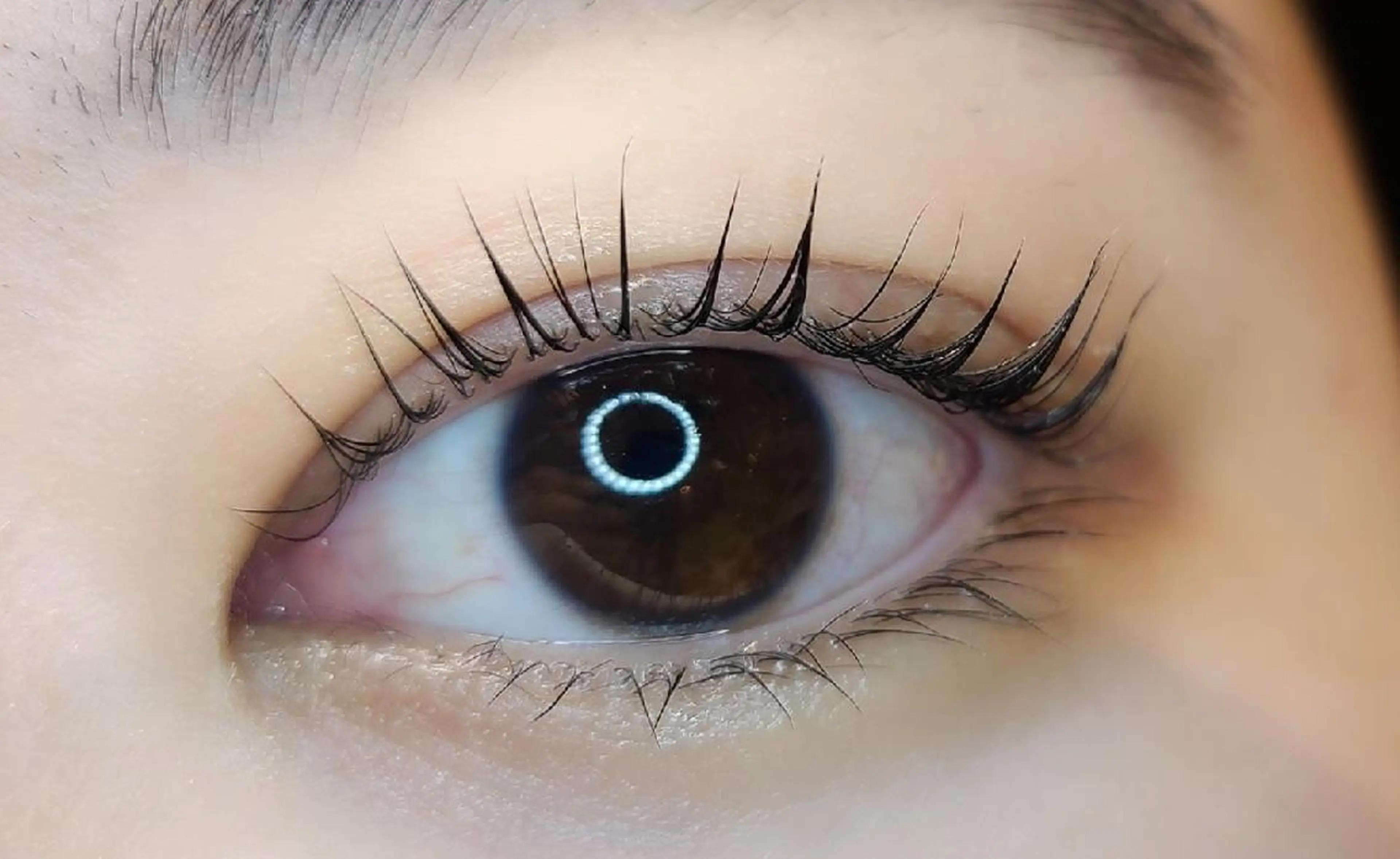 マツエク・マツパ パリジェンヌラッシュリフト LASH BAR  友久のマツエク・マツパデザイン