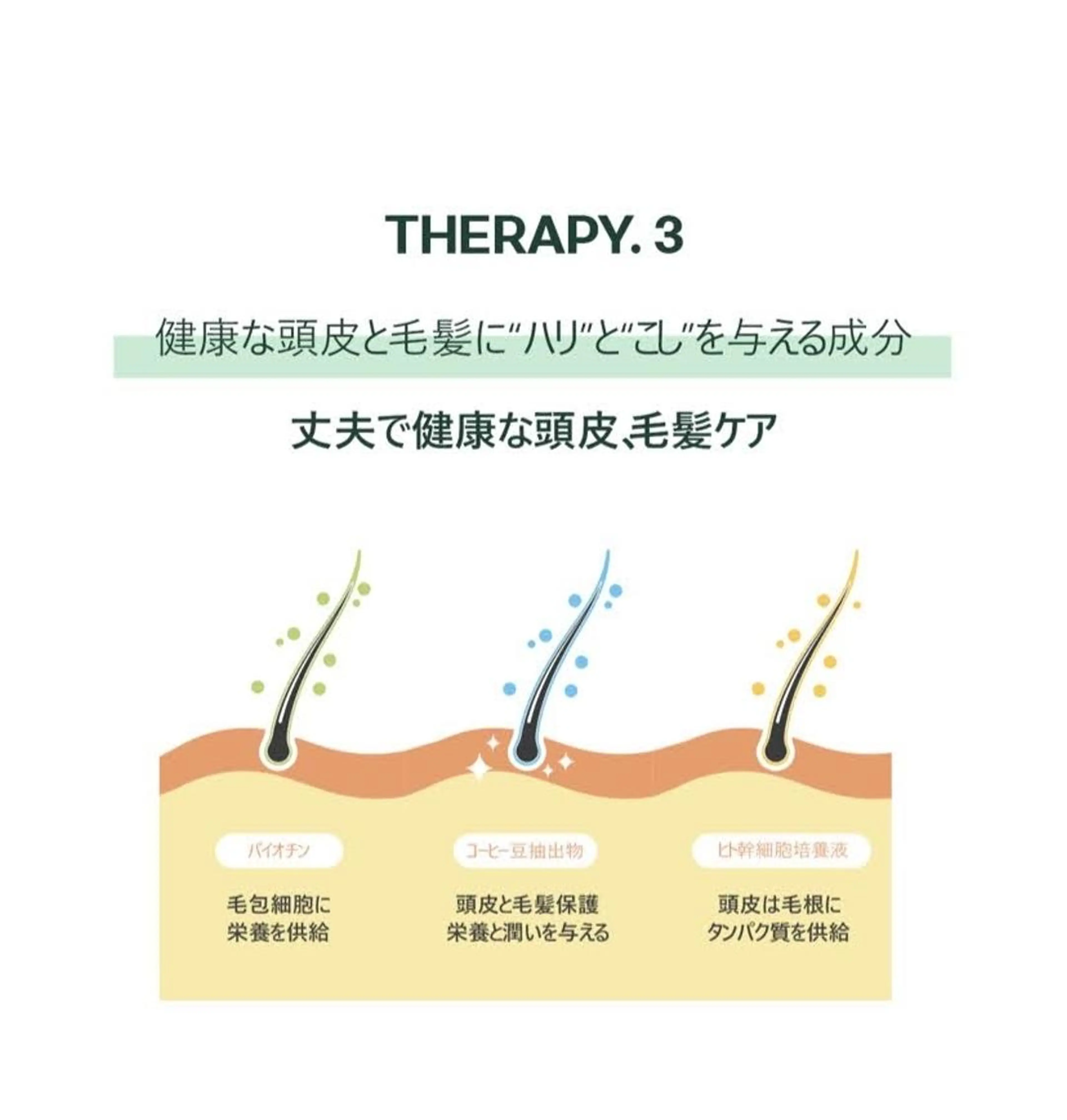 韓国アイドルまつげ ❤️LUSHLASHのマツエク・マツパデザイン