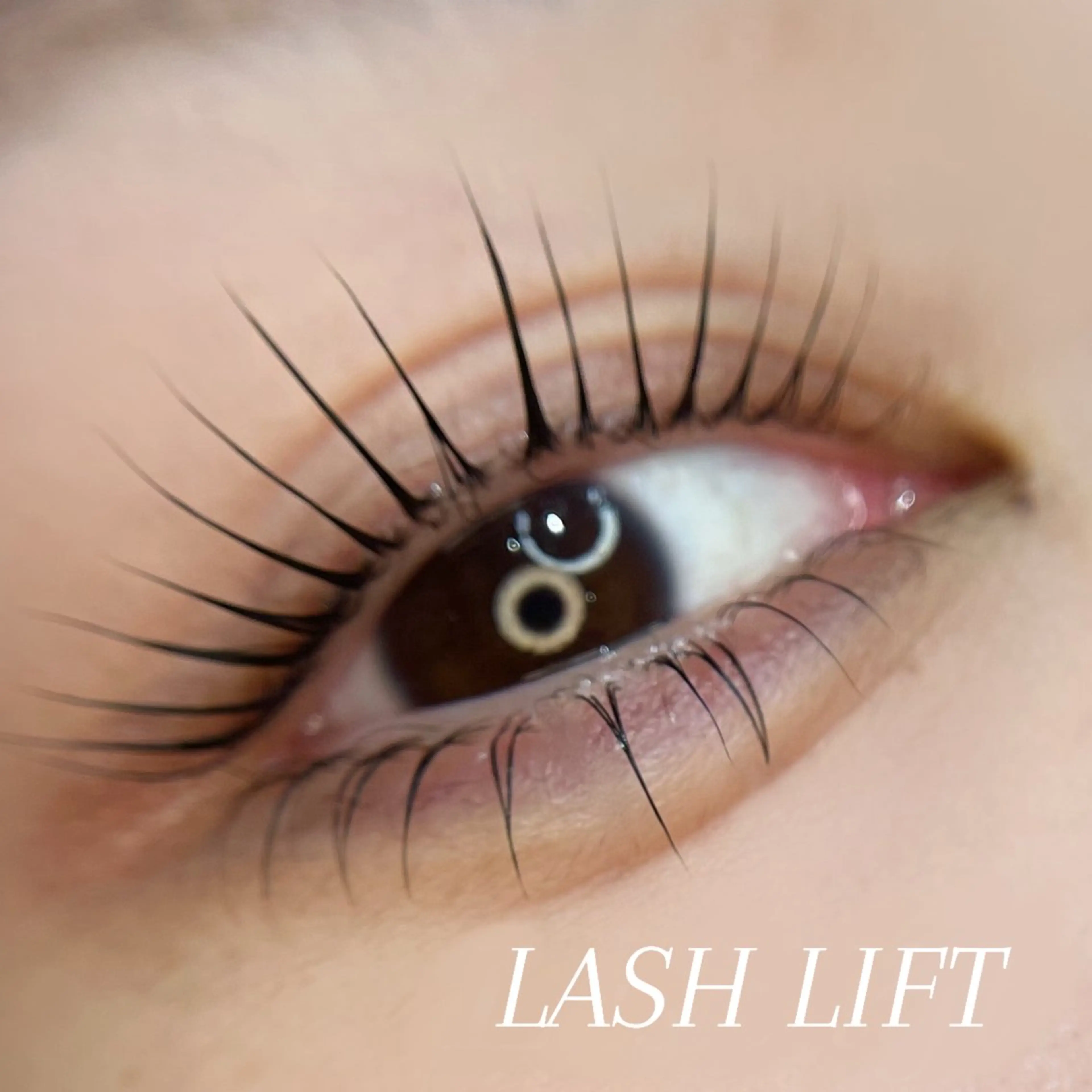 【❤️🔥大人気❤️🔥】似合わせまつ毛パーマ🌿.∘(アイシャンプー➕美容液 韓国風束感お仕上げ✨️)の写真