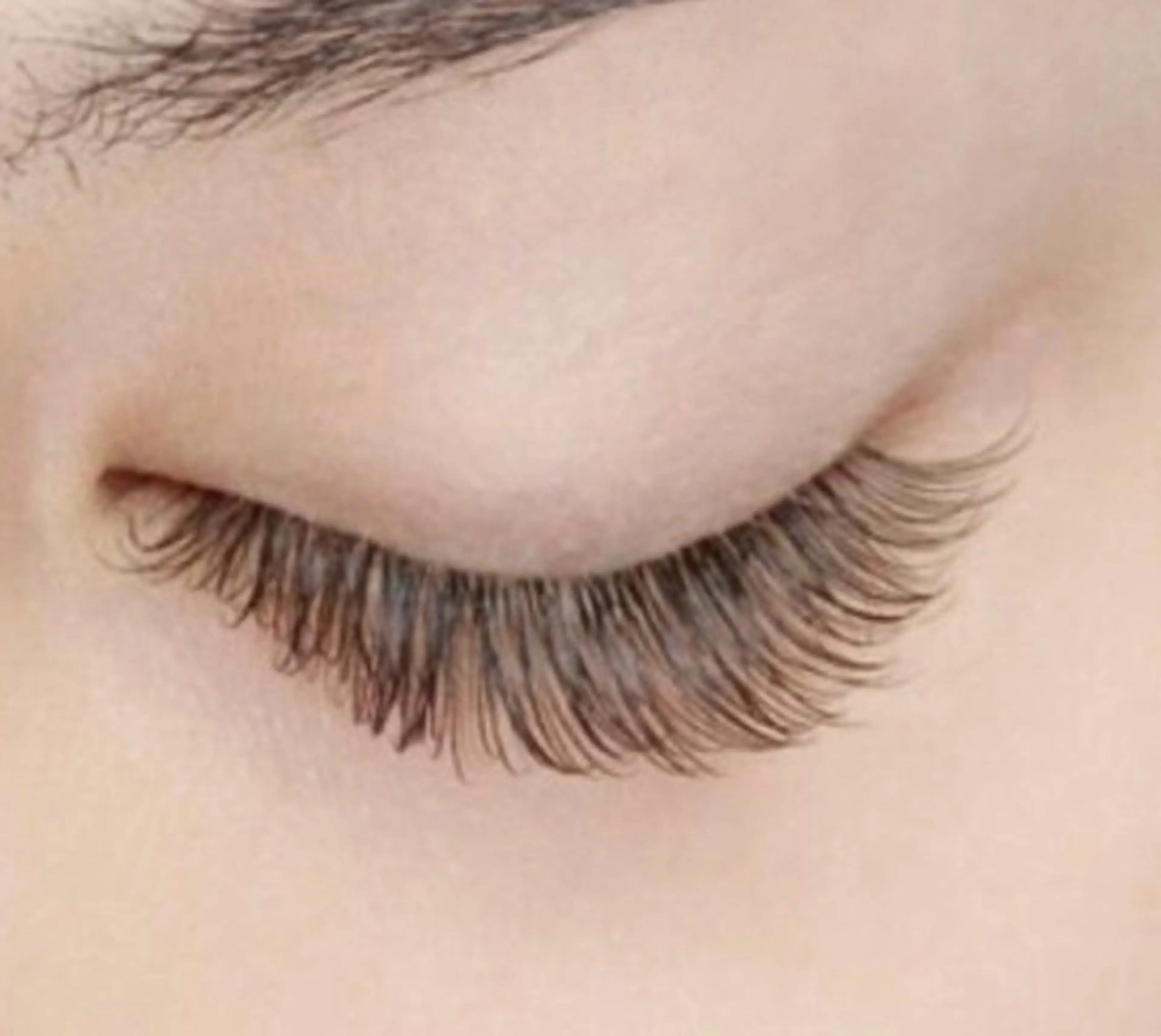 【平日限定】セーブルエクステ100本の写真