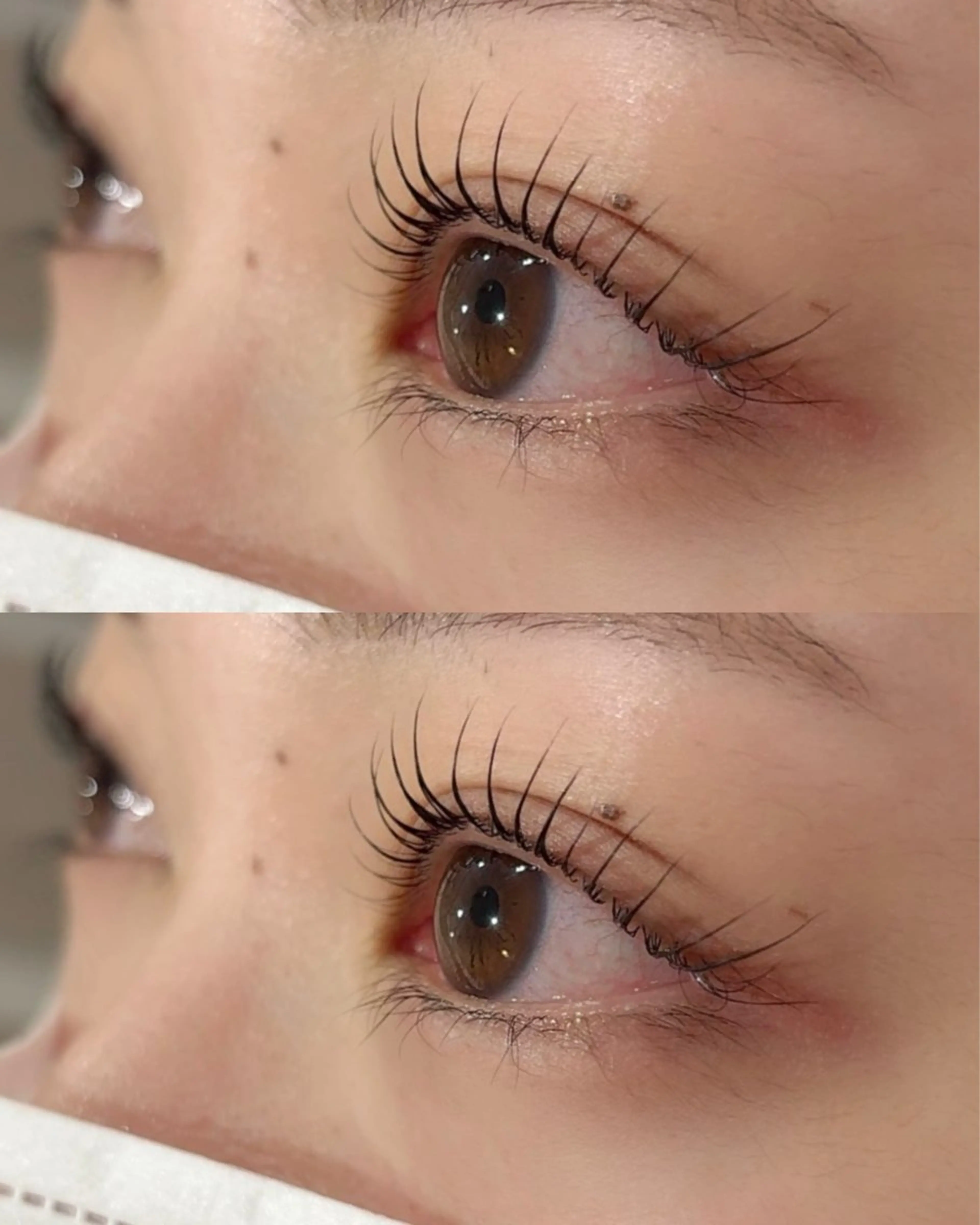 【平日限定クーポン】まつ毛パーマ 🎀の写真