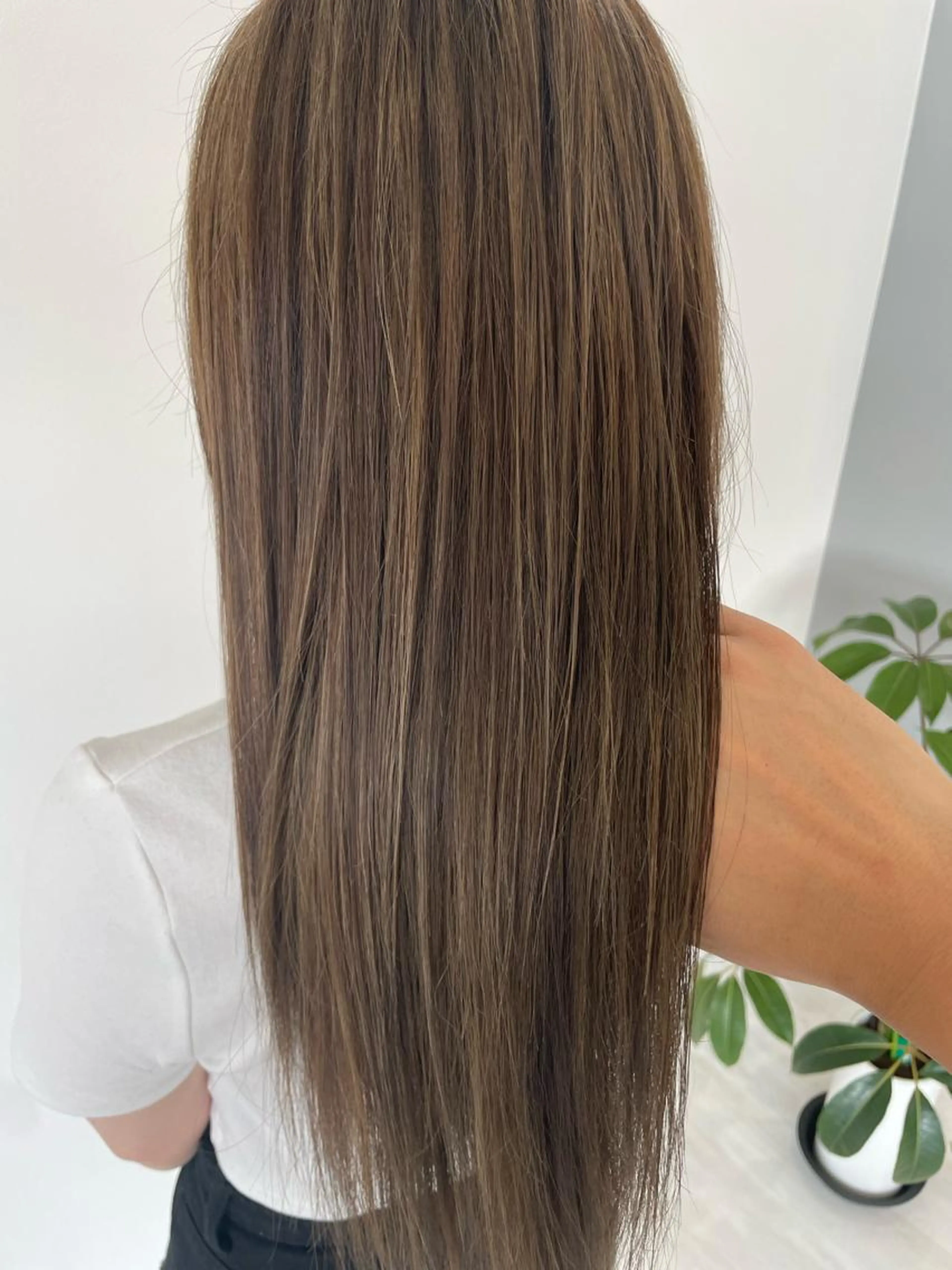 ６ヵ月以上ご来店の無い方もご利用可能！🌈カット＋3ステップ超音波トリートメントorヘッドスパ🌈の写真